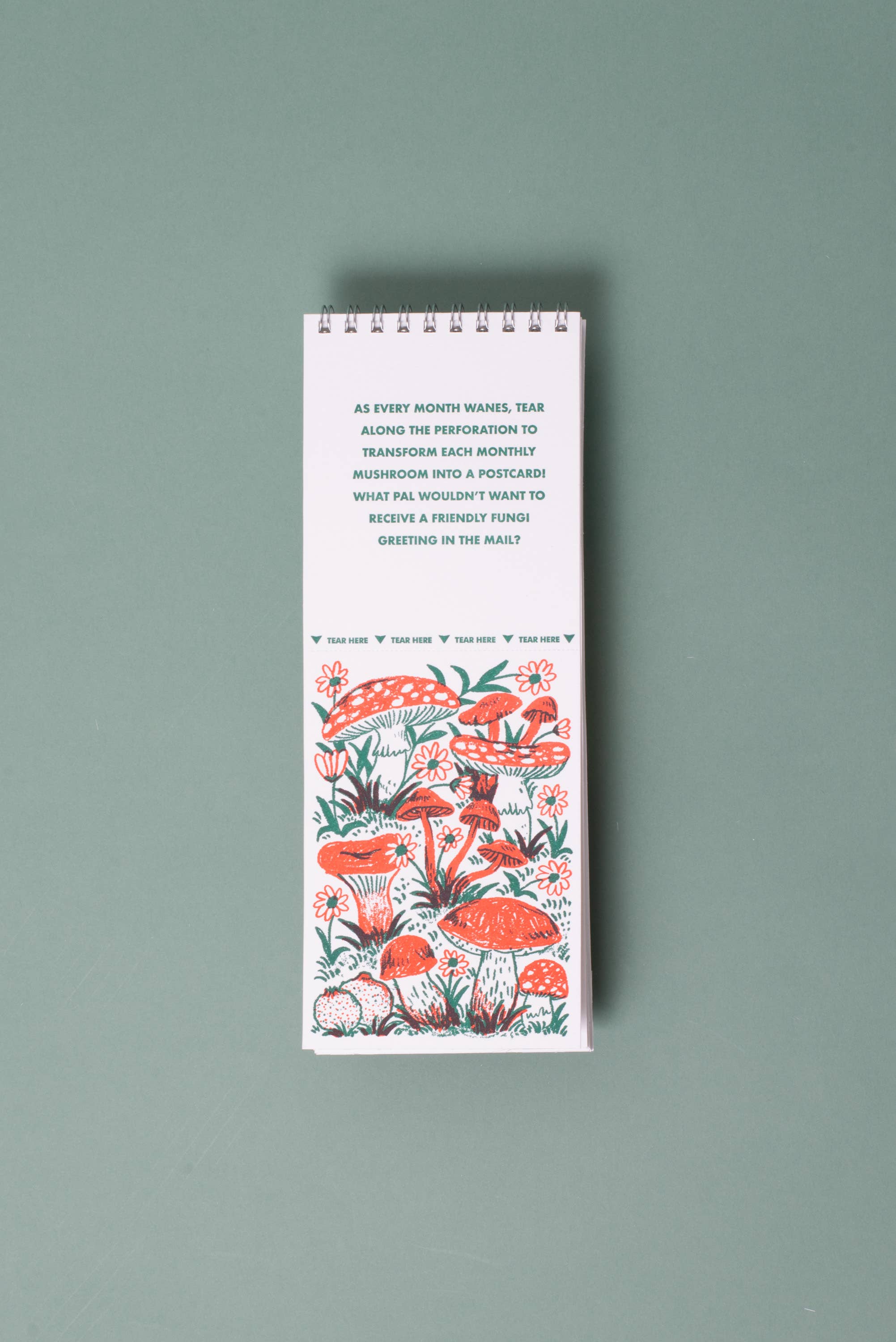 2027 Gnomes & Mushrooms Postcard Wall Calendar