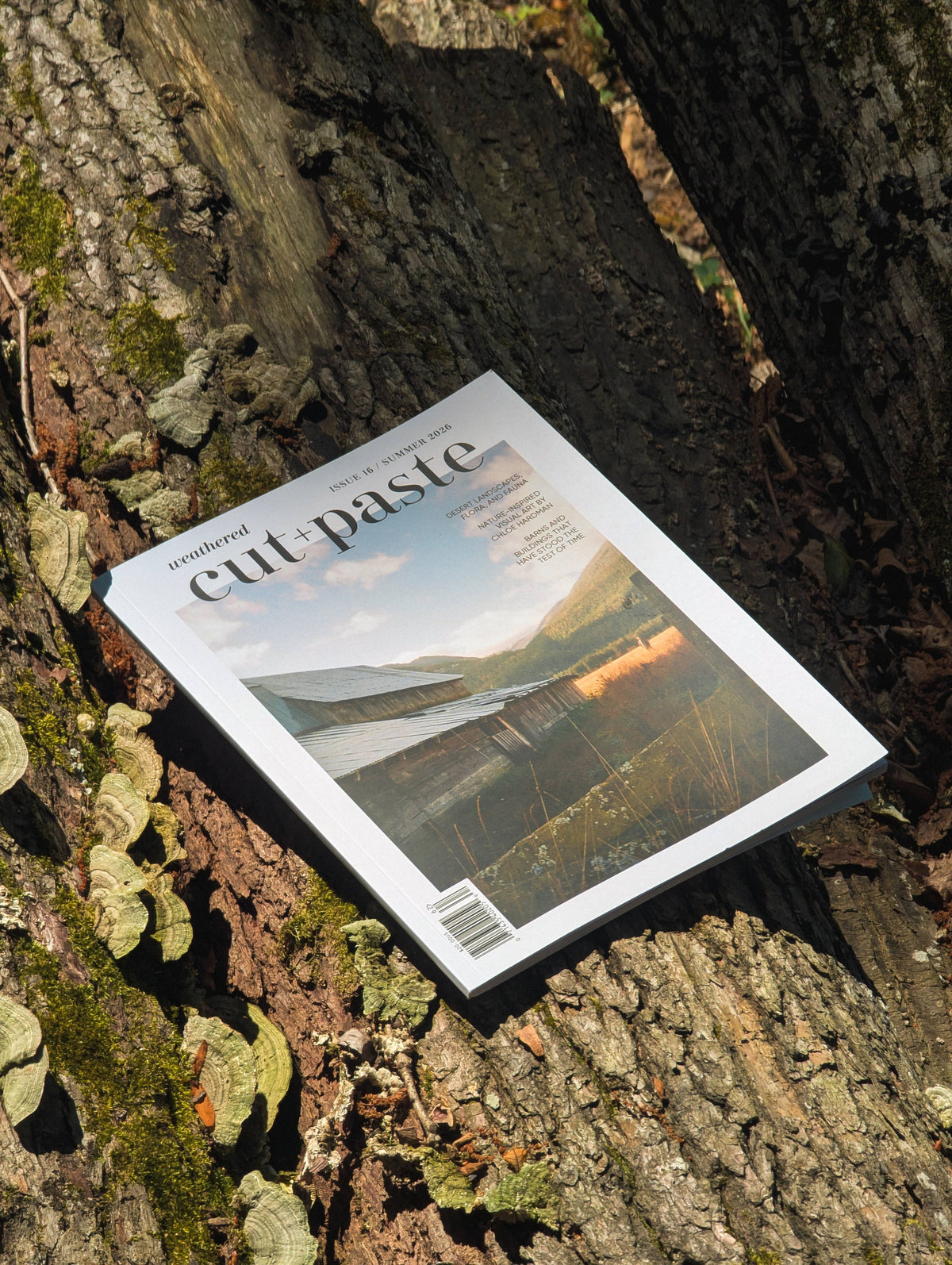 Scrapbooker's Cut + Paste Magazine - Issue 16 Weathered