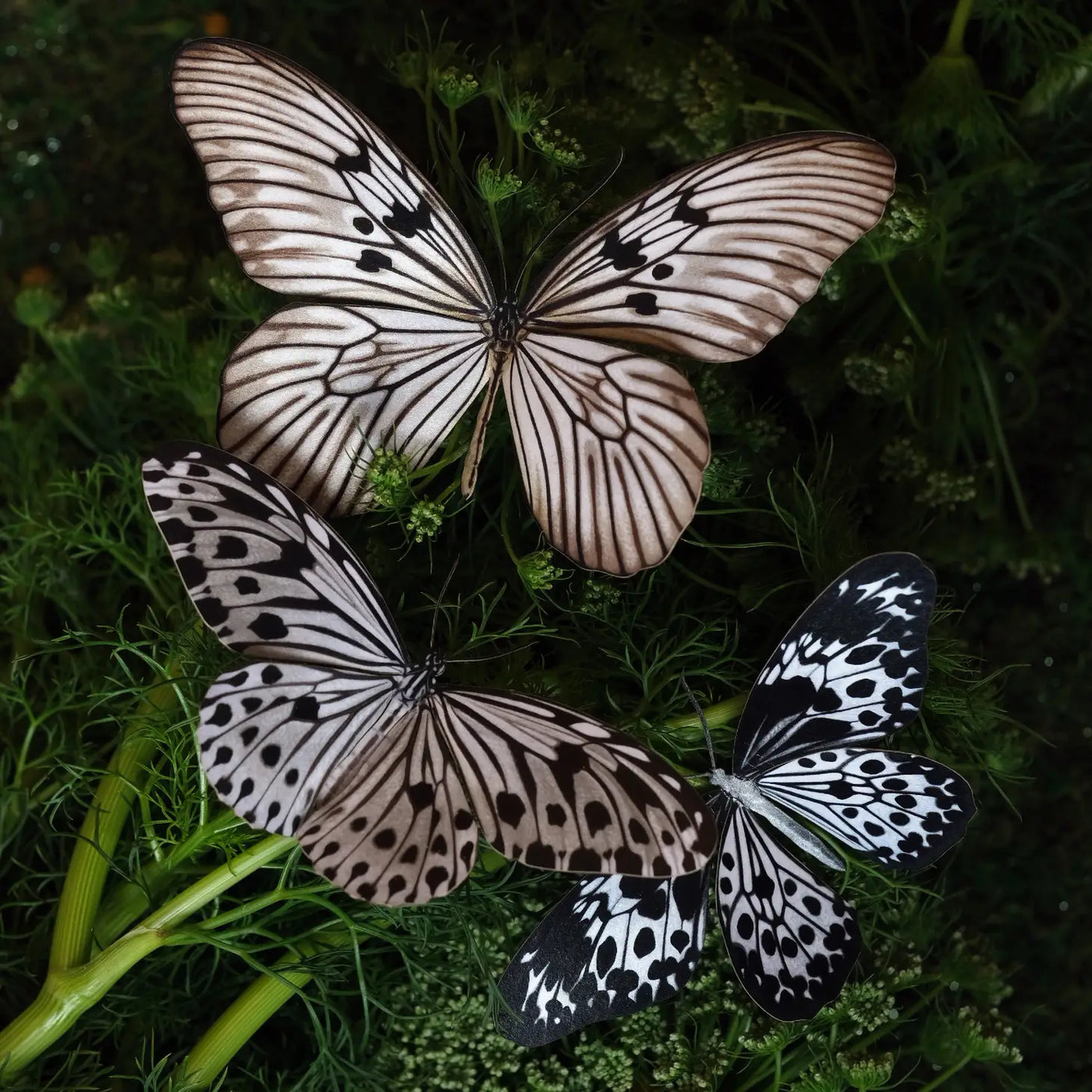 Marble Paper Butterfly set