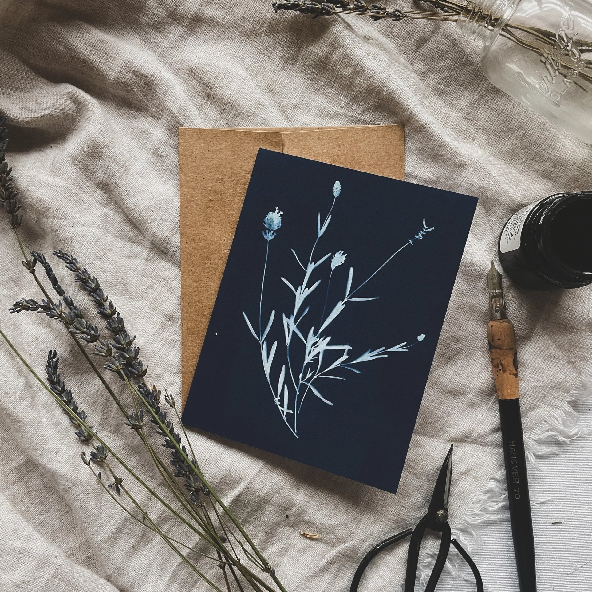 Herbs - Botanical Cyanotype Cards Boxed Set