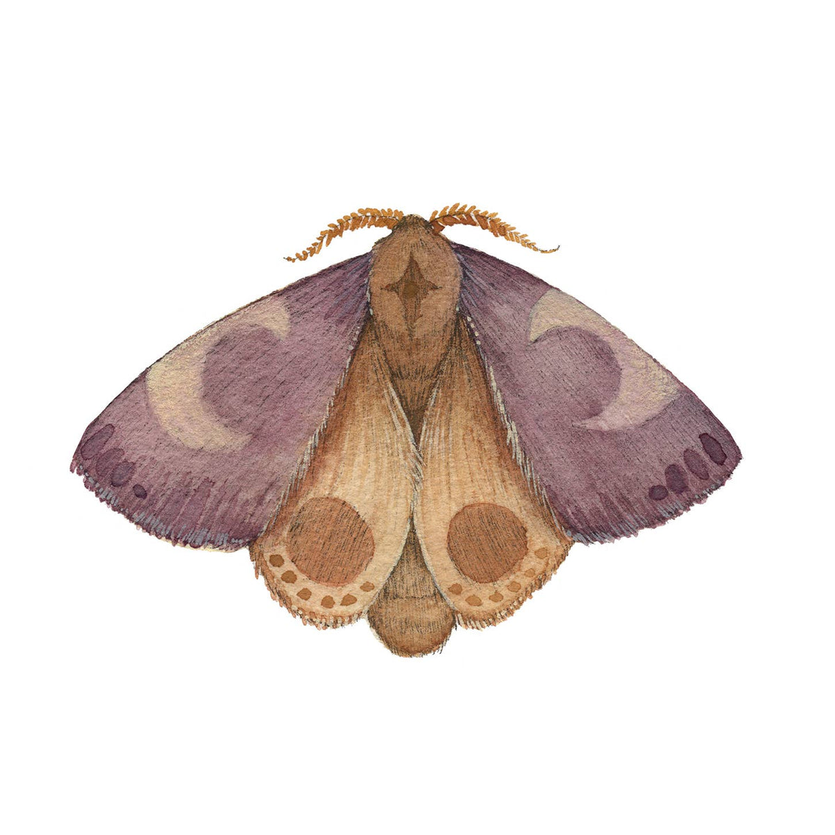 Amethyst Mineral Moth Print - 5" x 7"