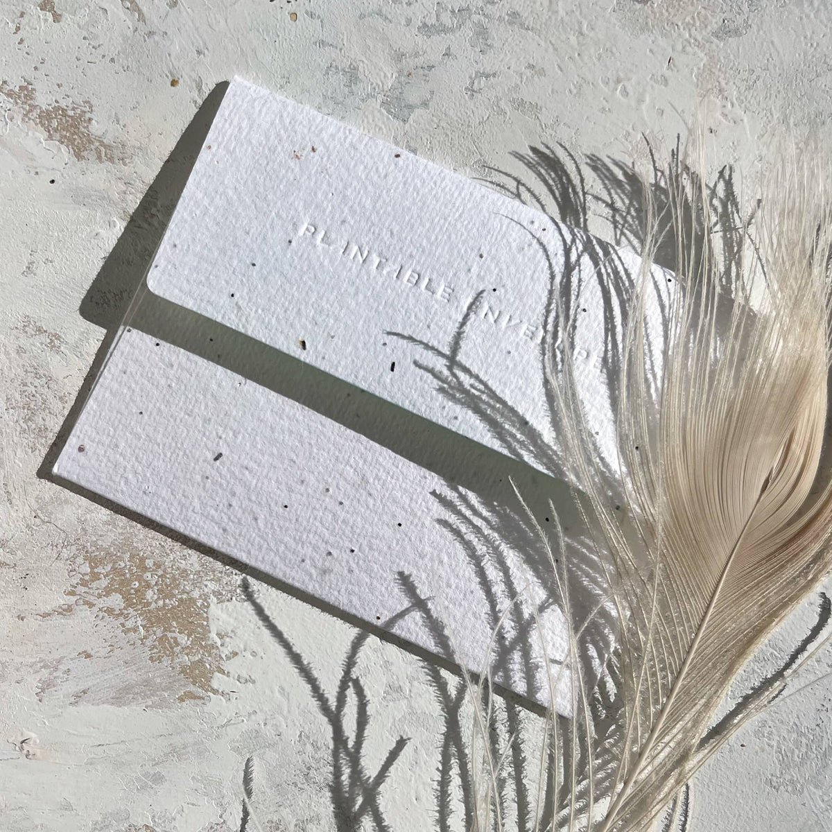 Holiday Delights Card