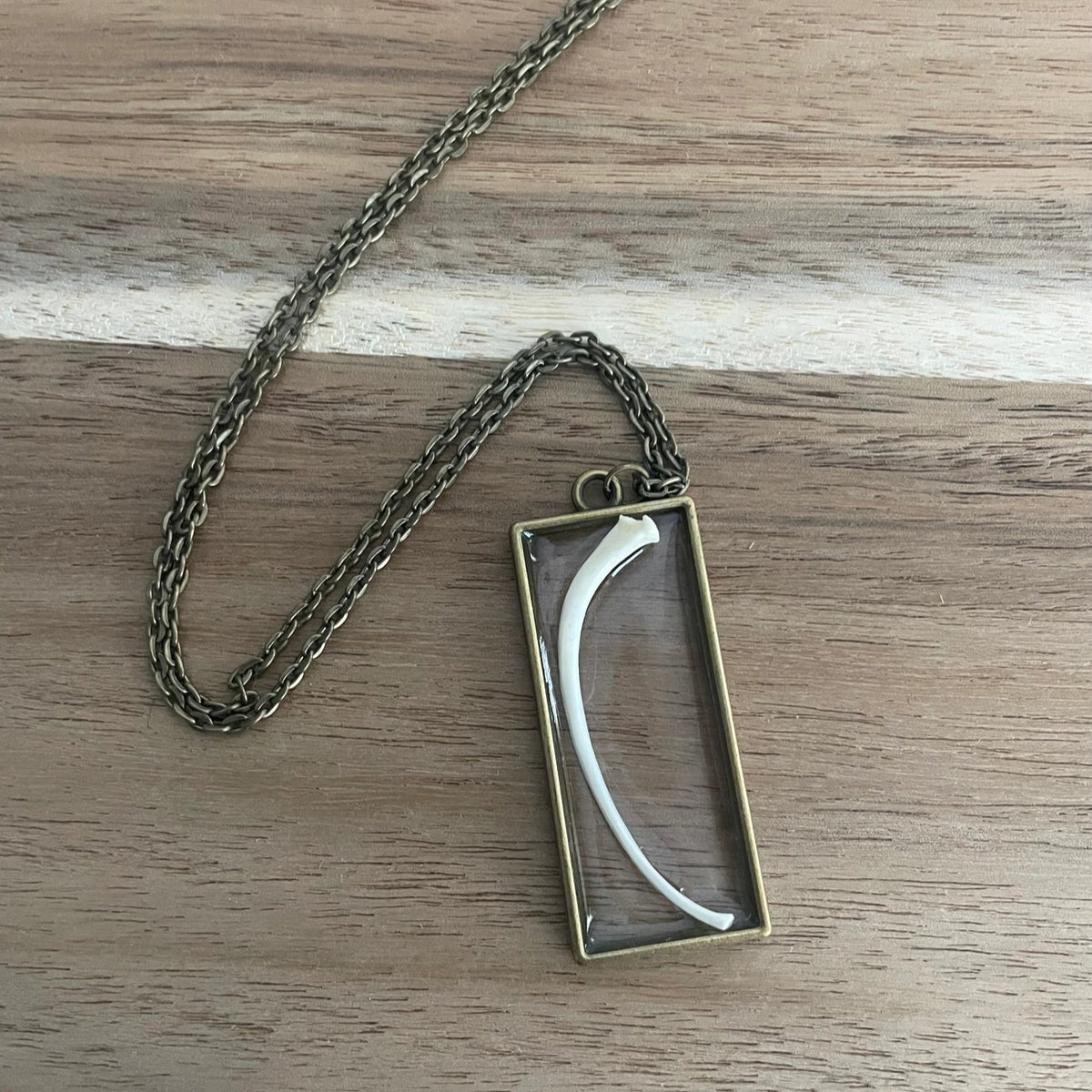 Ball Python Snake Rib Bone Necklace