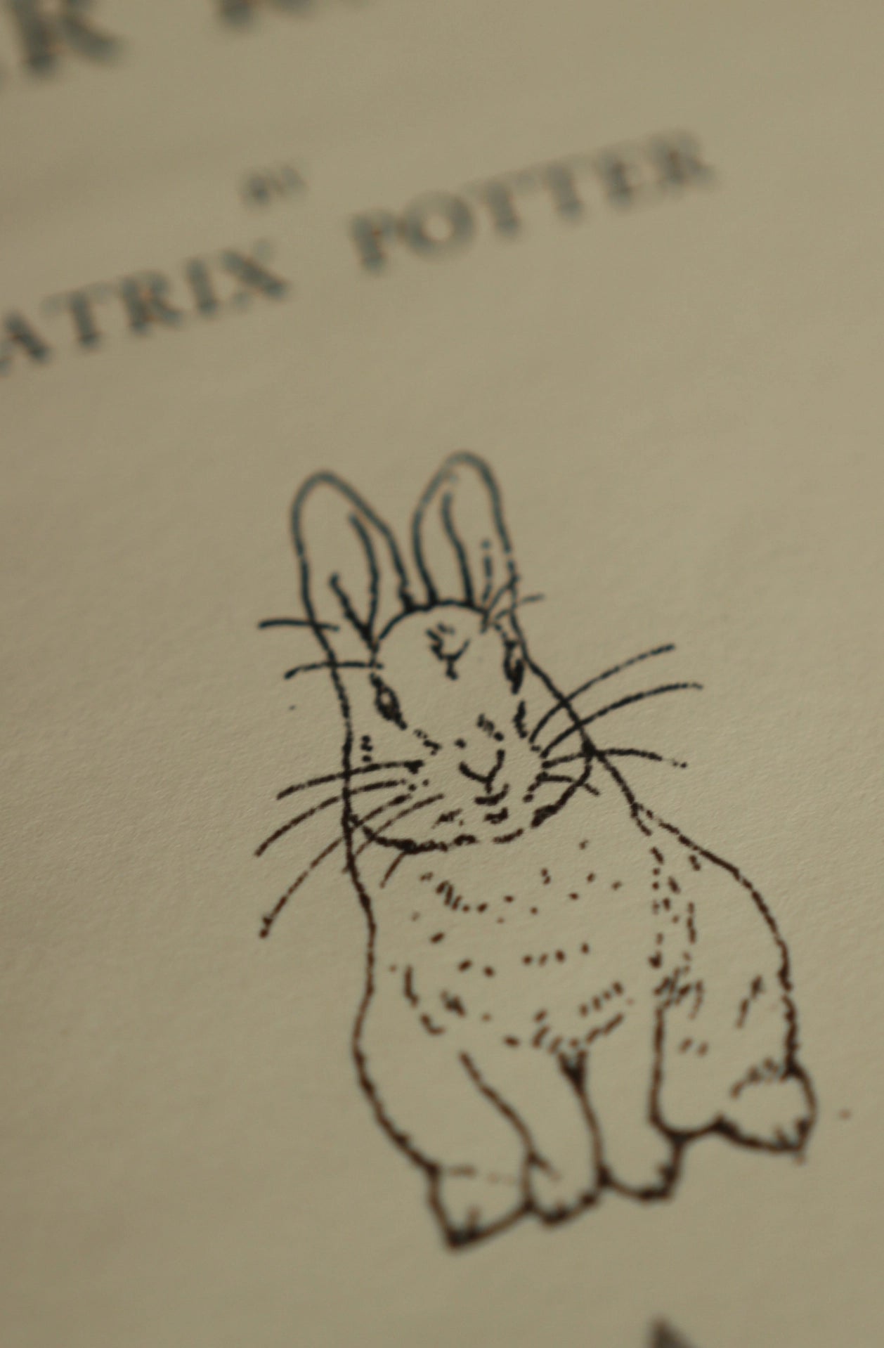 The Tale Of Peter Rabbit Journal