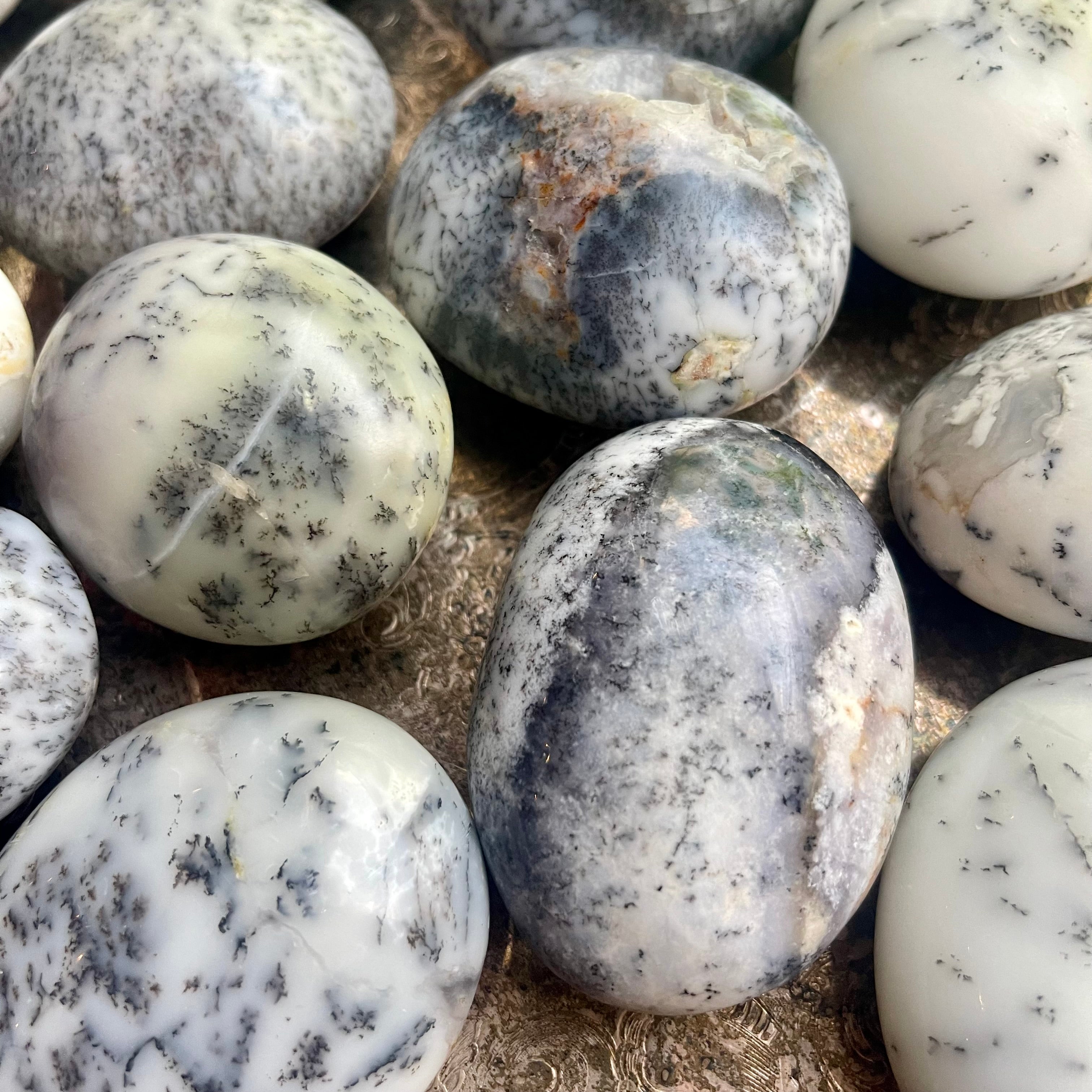 Dendritic Agate Sea Turtle Eggs
