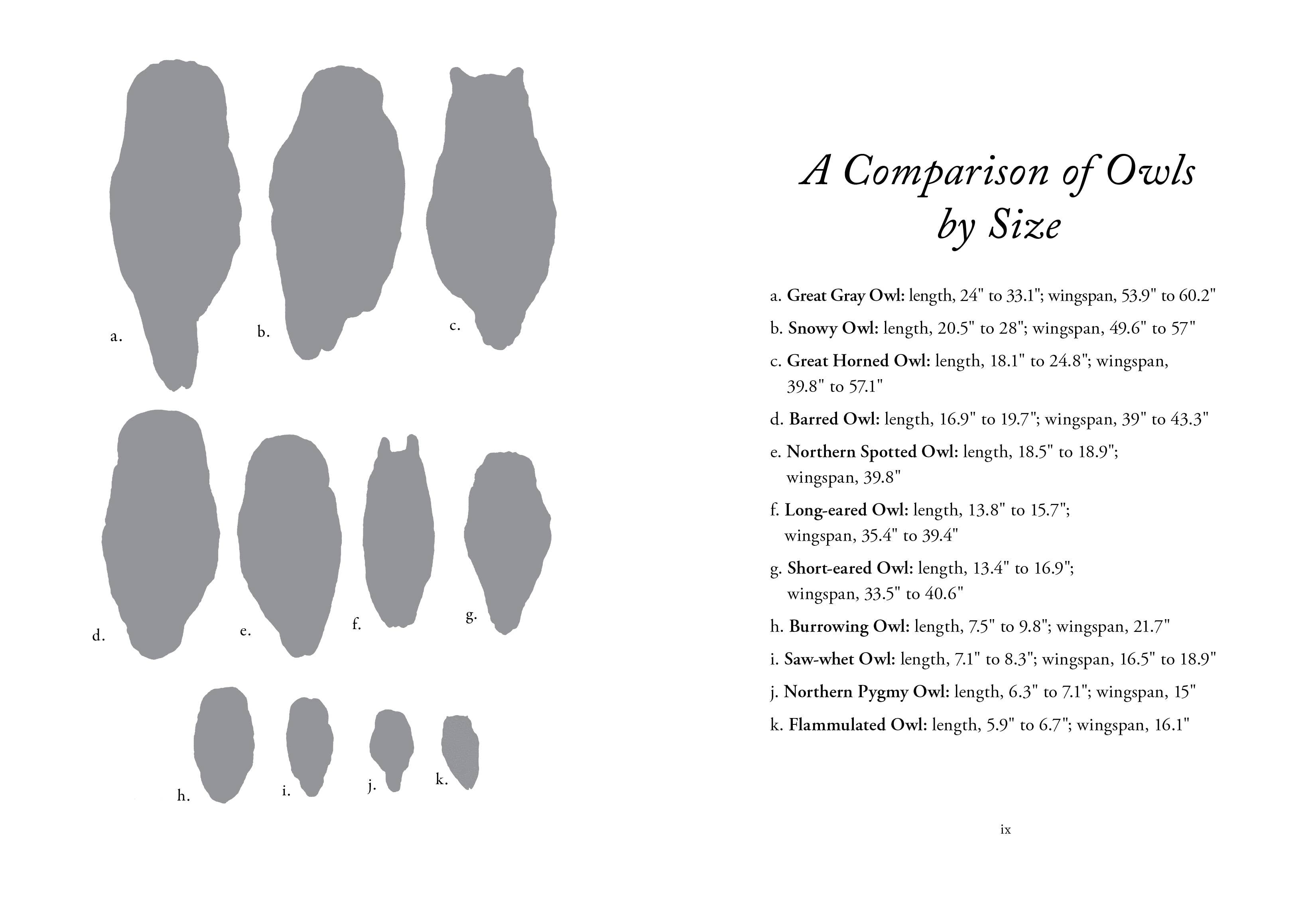 The Hidden Lives of Owls: Nature's Most Elusive Birds Book
