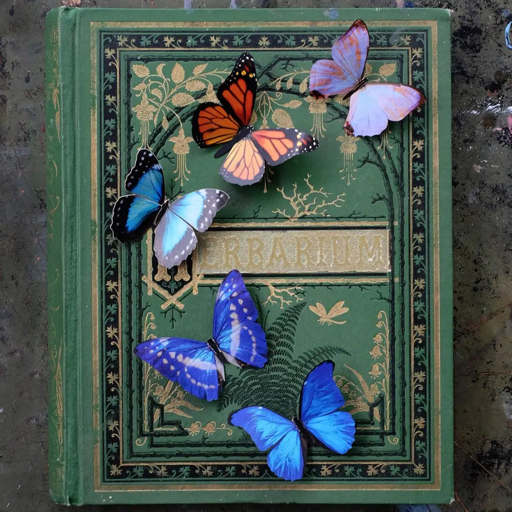 Morphos and Monarch Paper Butterfly set