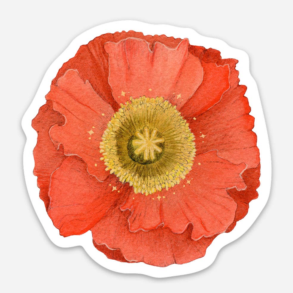 Icelandic Poppy Sticker