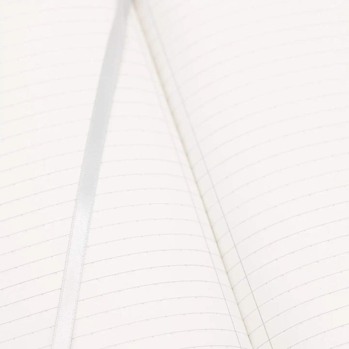 Genetics & DNA Silver Journal