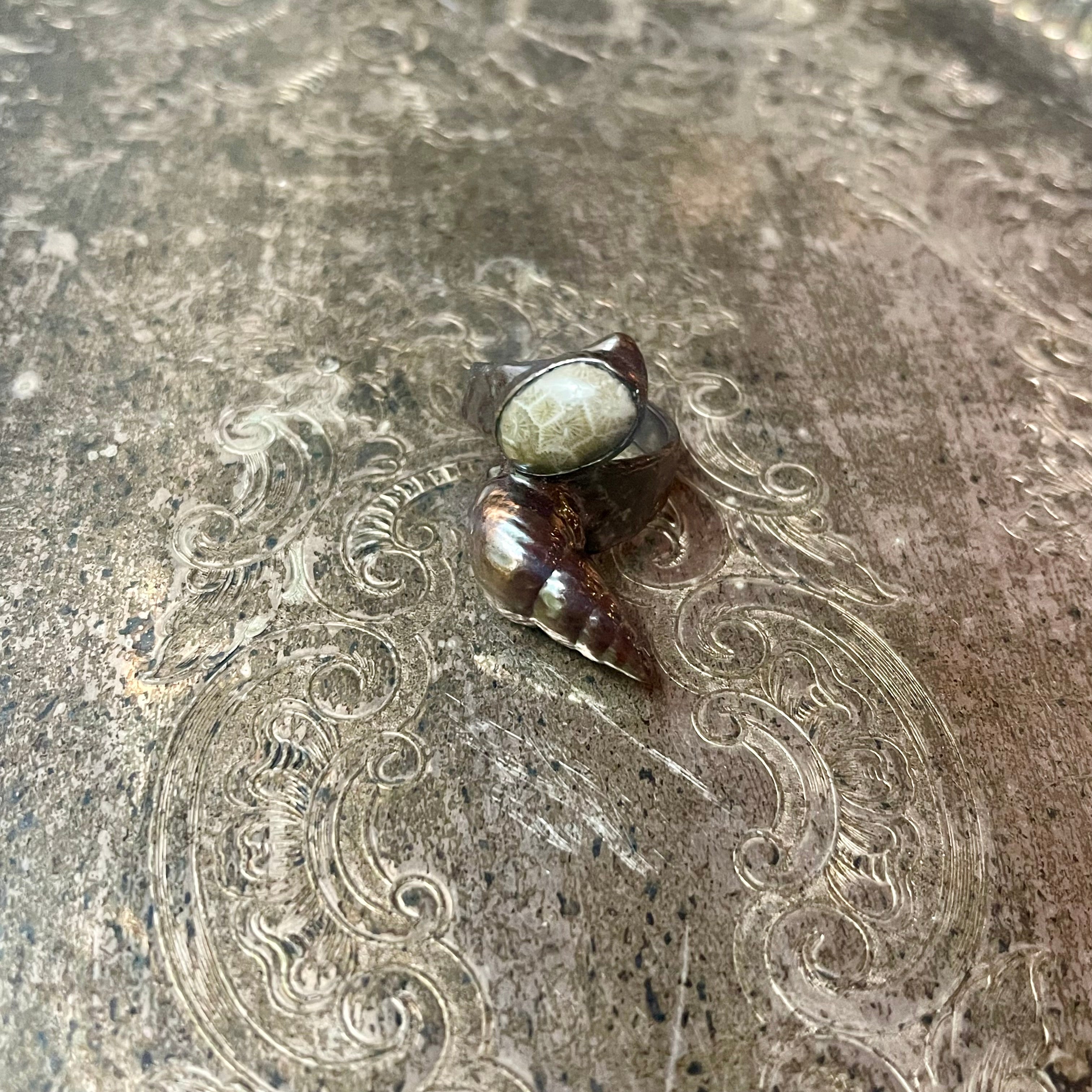Fossilized Coral and Shell Ring