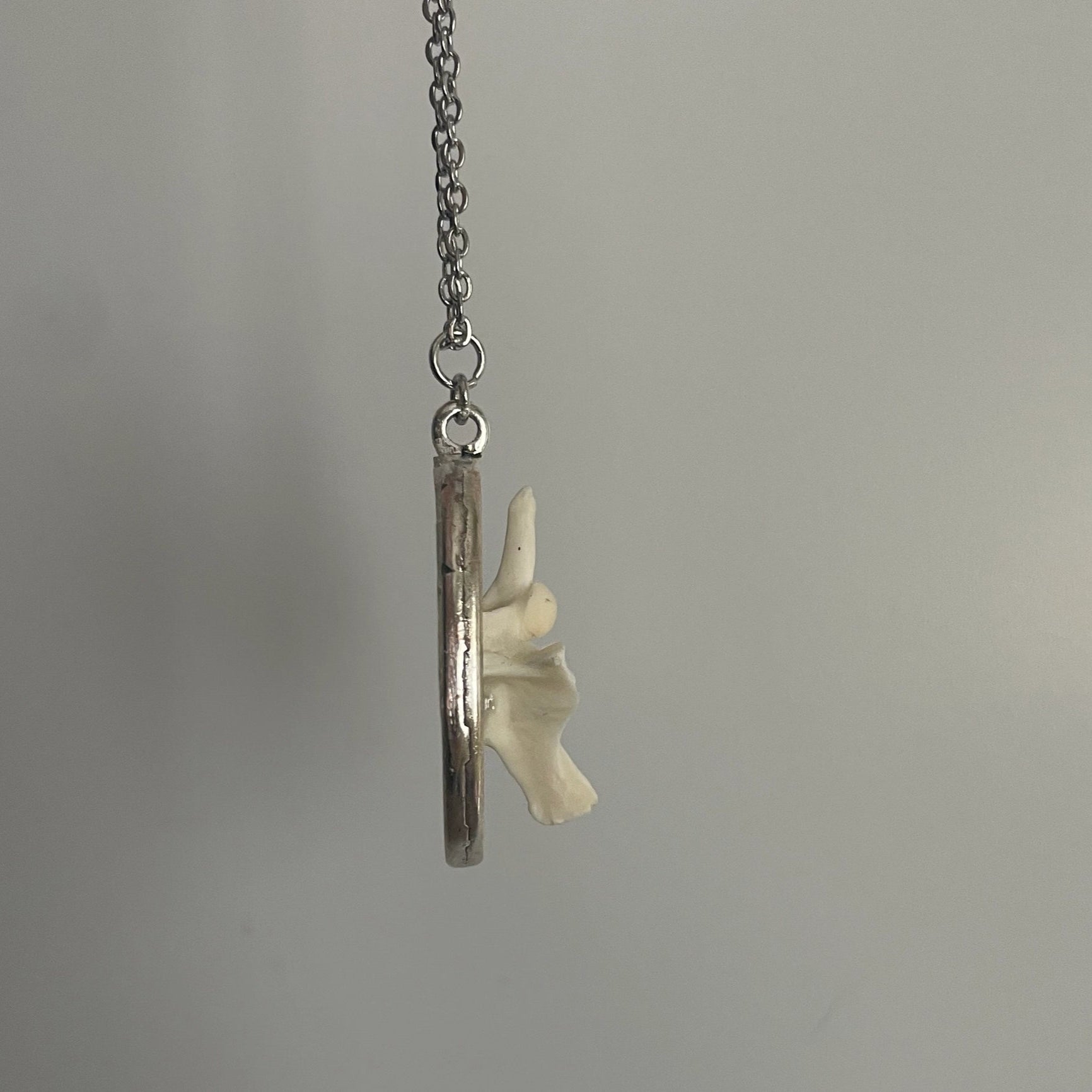Ball Python Snake Vertebrae Bone Necklace
