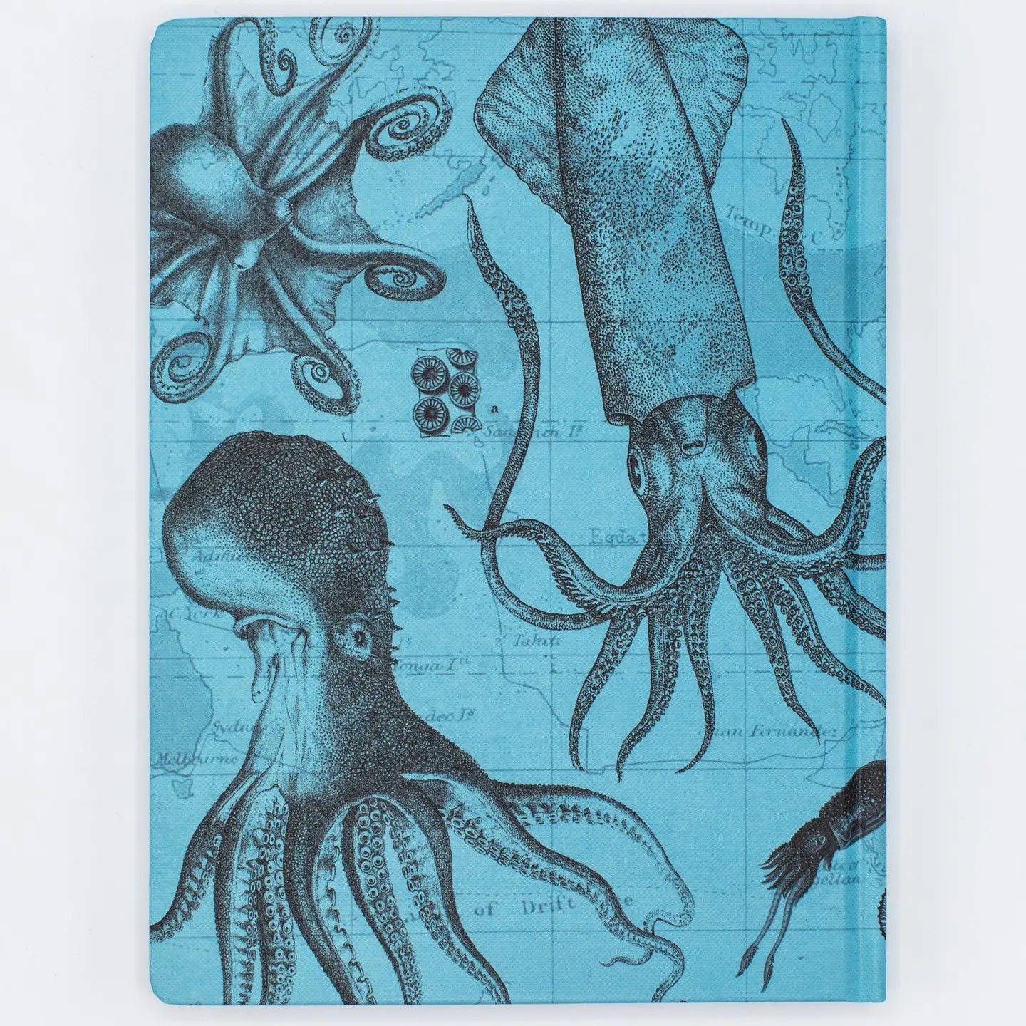 Octopus & Squid Journal