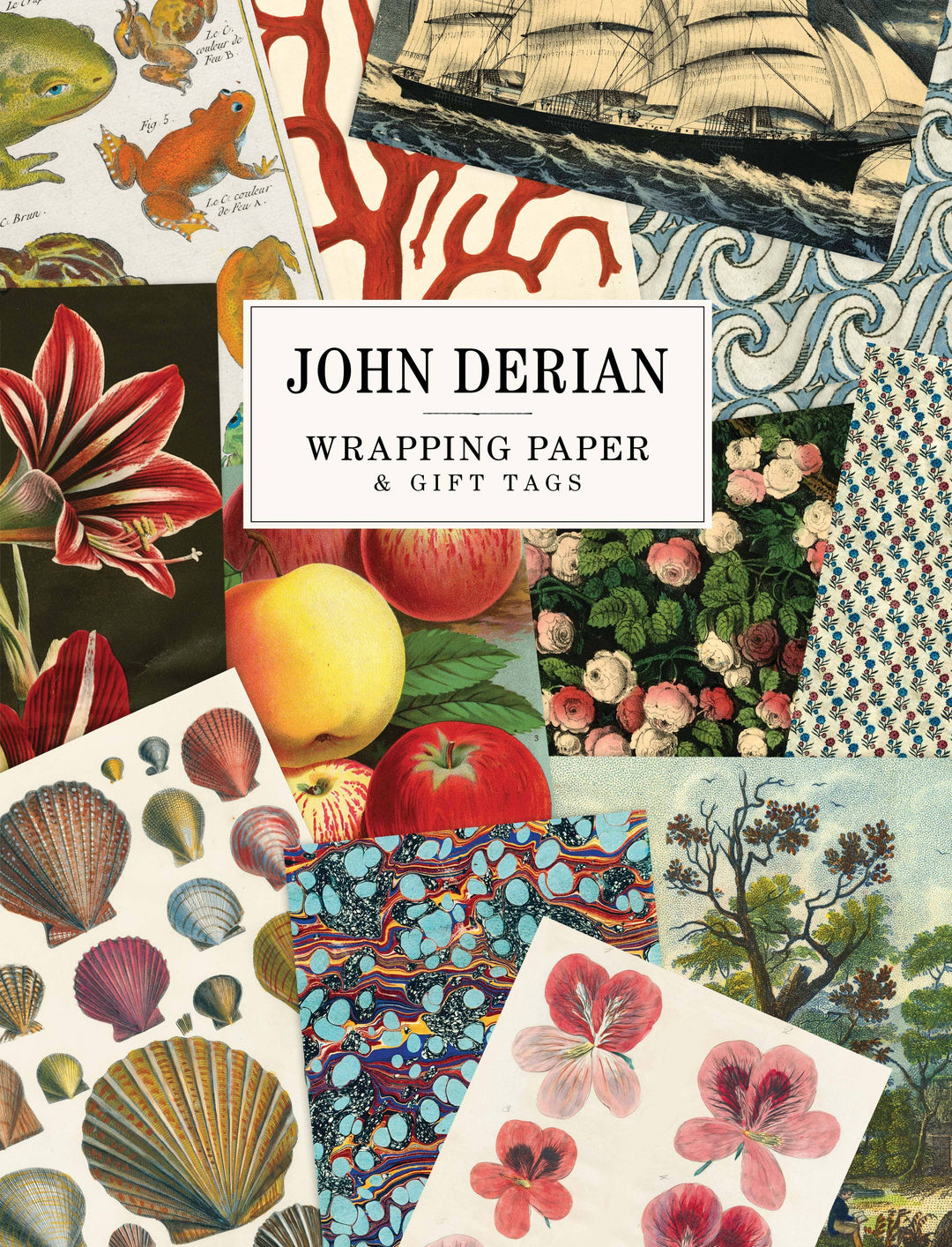 John Derian Wrapping Paper Book