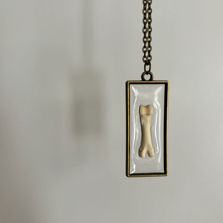 Raccoon Toe Bone Necklace