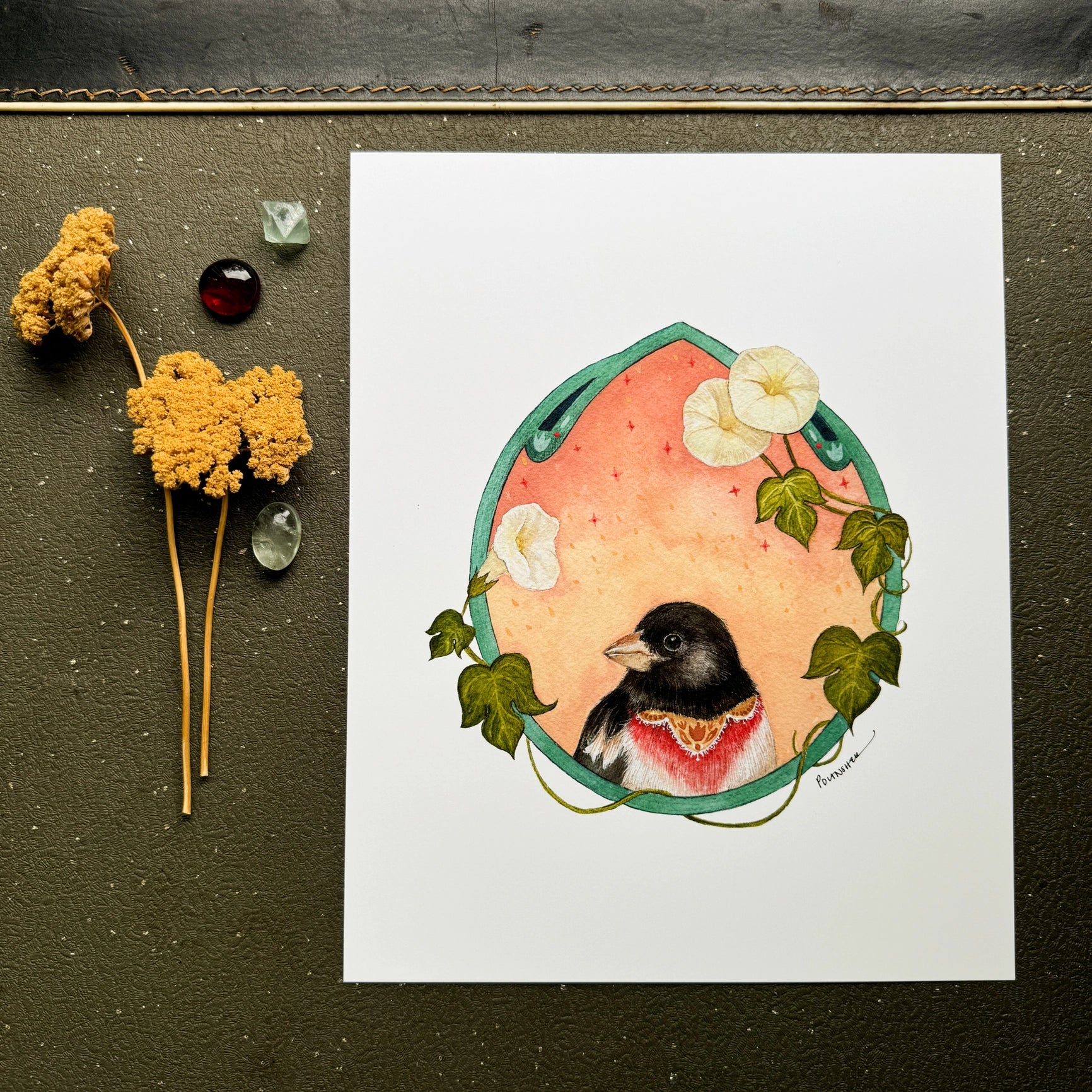 Grosbeak of Morning Glories Print - 8" x 10"