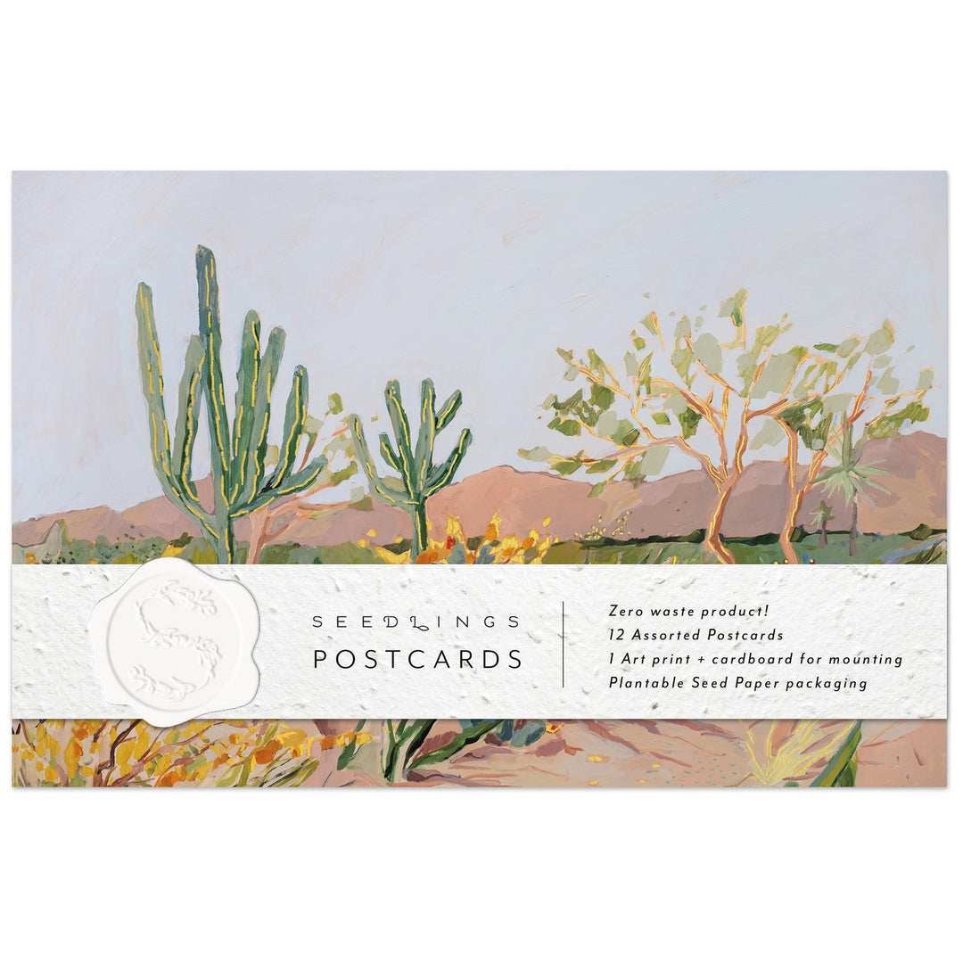 Cactus Seedlings Postcard Set