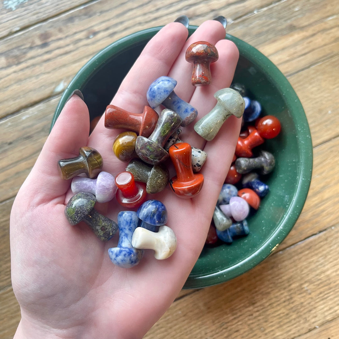 Mystery Crystal Mushrooms