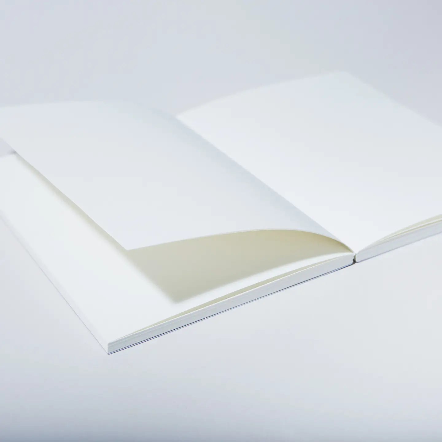 Scenic Sea Lay-Flat Notebook - By Case Study