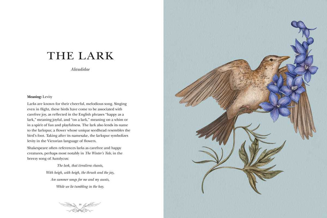 Ornithography: An Illustrated Guide to Bird Lore & Symbolism Book