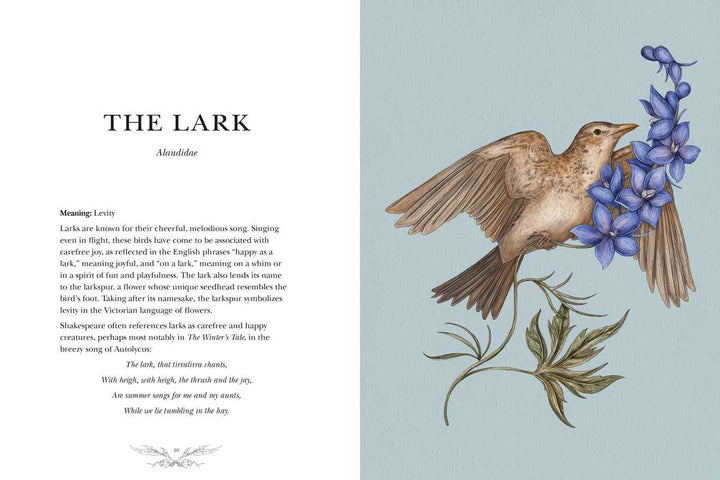 Ornithography: An Illustrated Guide to Bird Lore & Symbolism Book