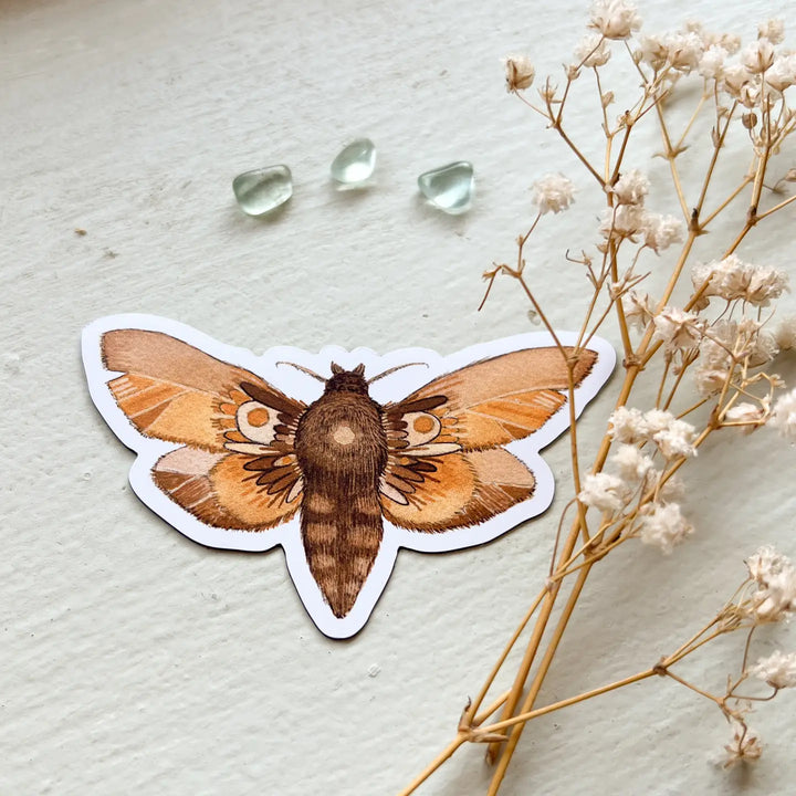 Autumn Moth Magnet
