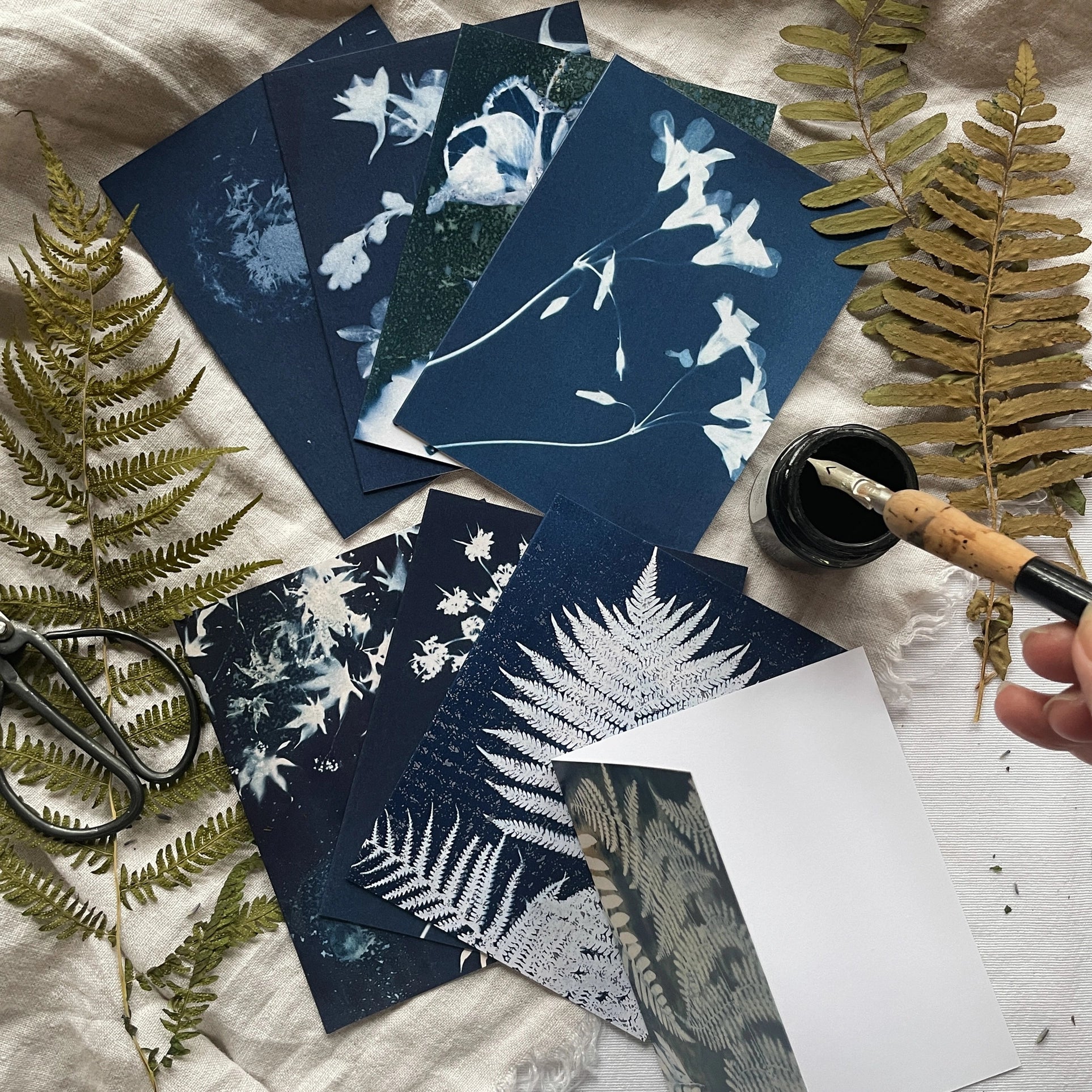 Under The Sun Cyanotype Cards Boxed Set