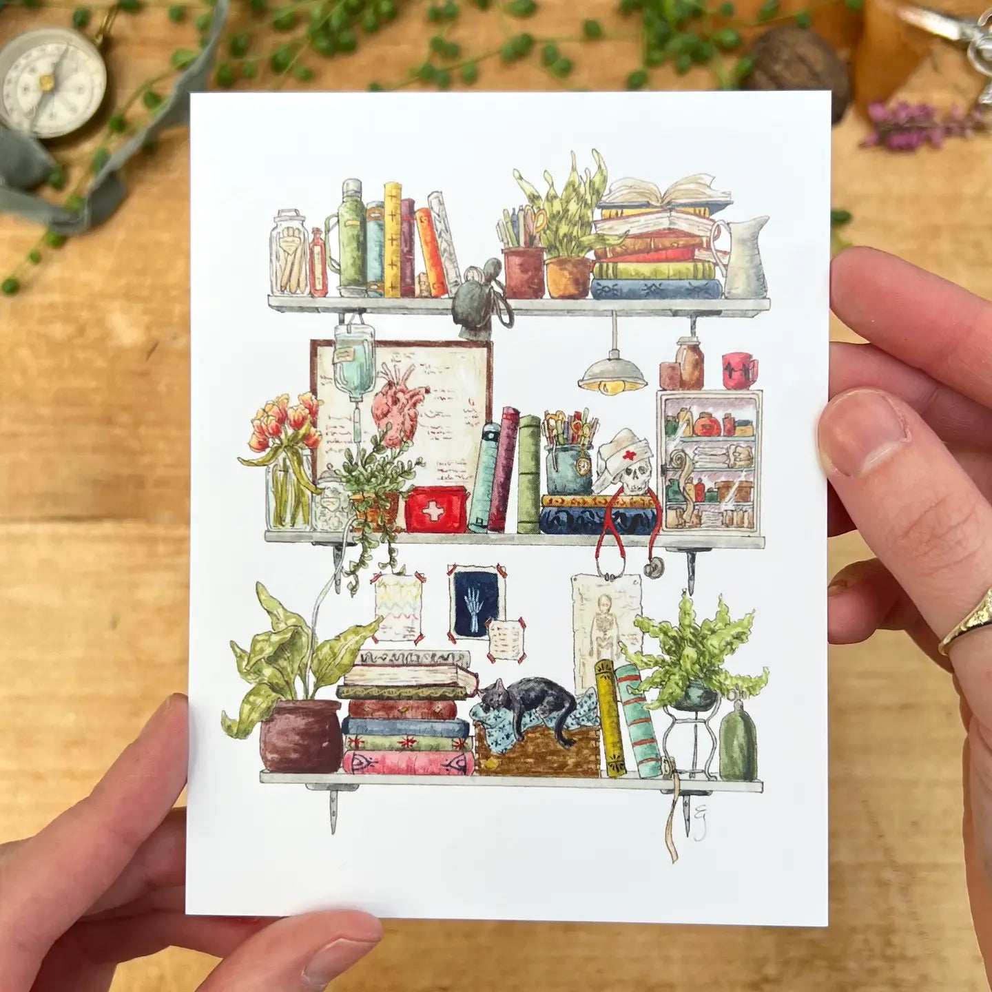Shelves of Whimsical Occupations Postcards - 24 Options
