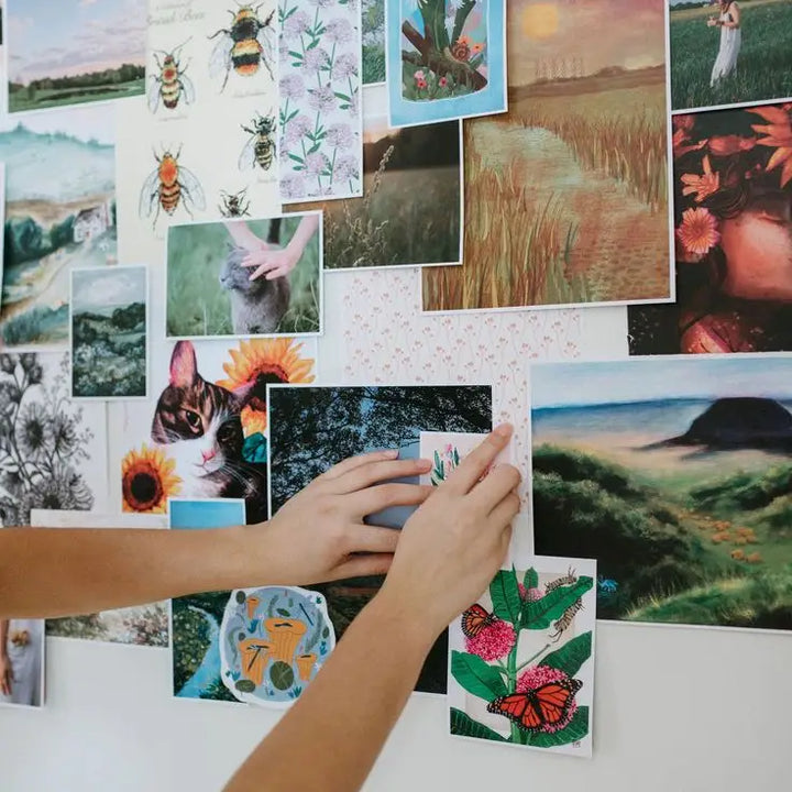 Scrapbooker's Cut + Paste Magazine - Issue 01 Meadow
