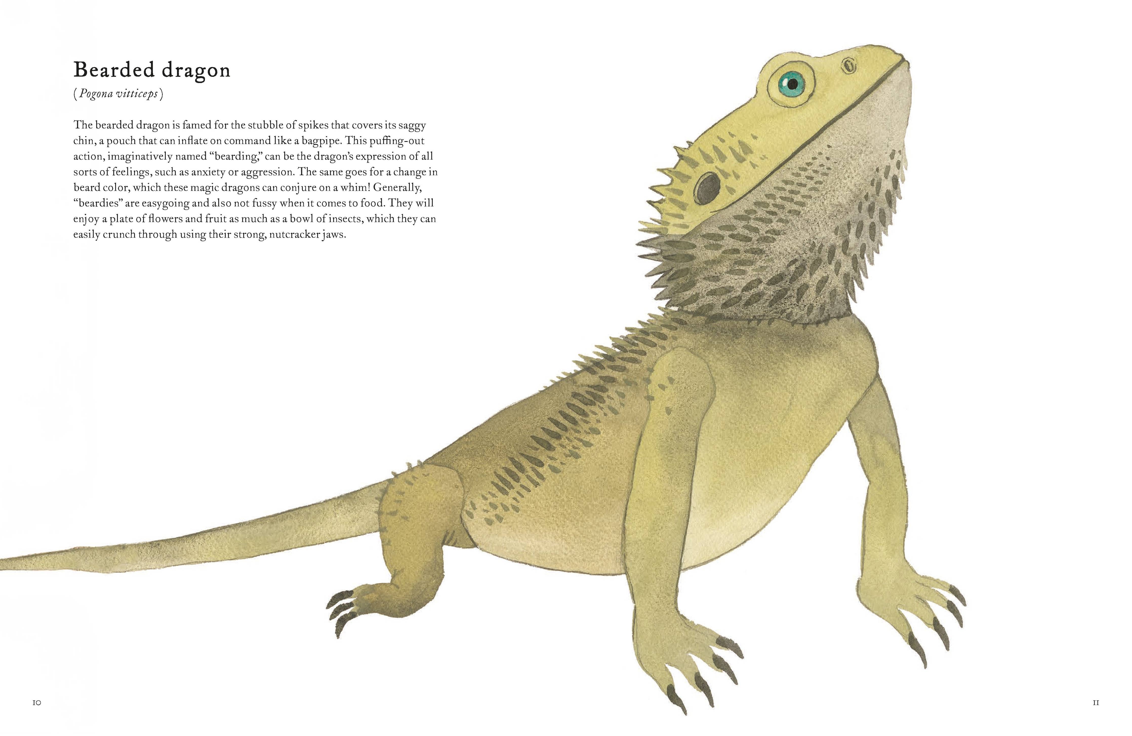 Colorful World of Reptiles Book
