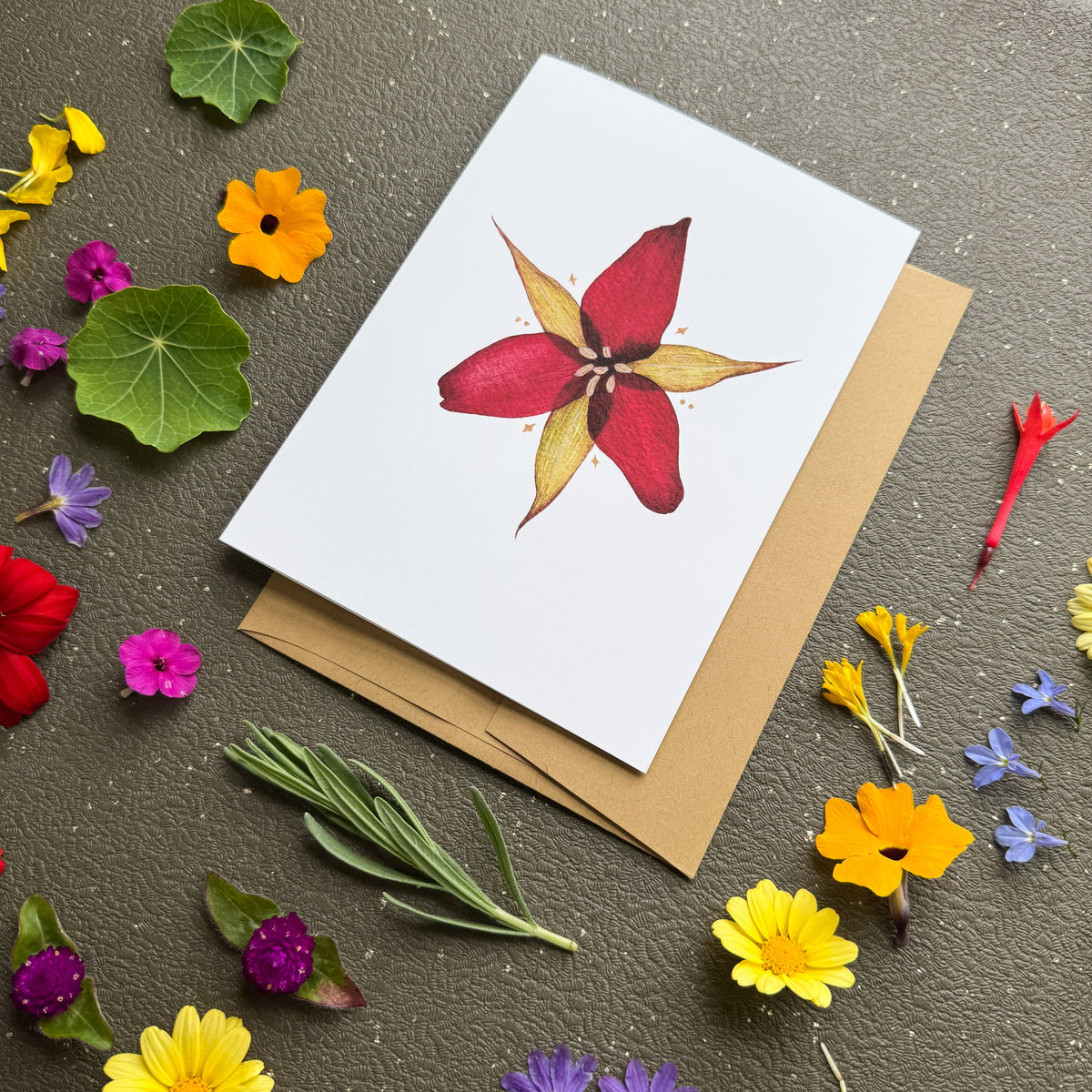 Trillium Card