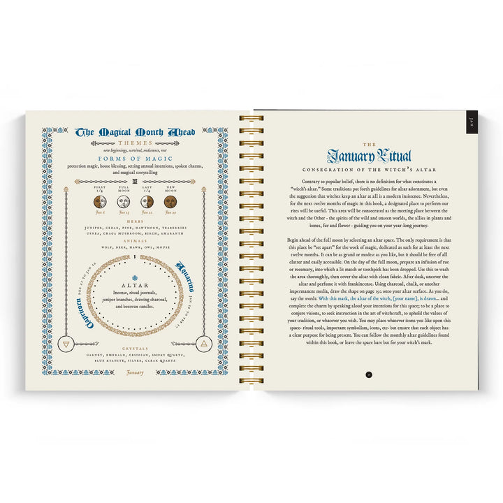 The Witch's Yearly Planner - 2025 Preorder