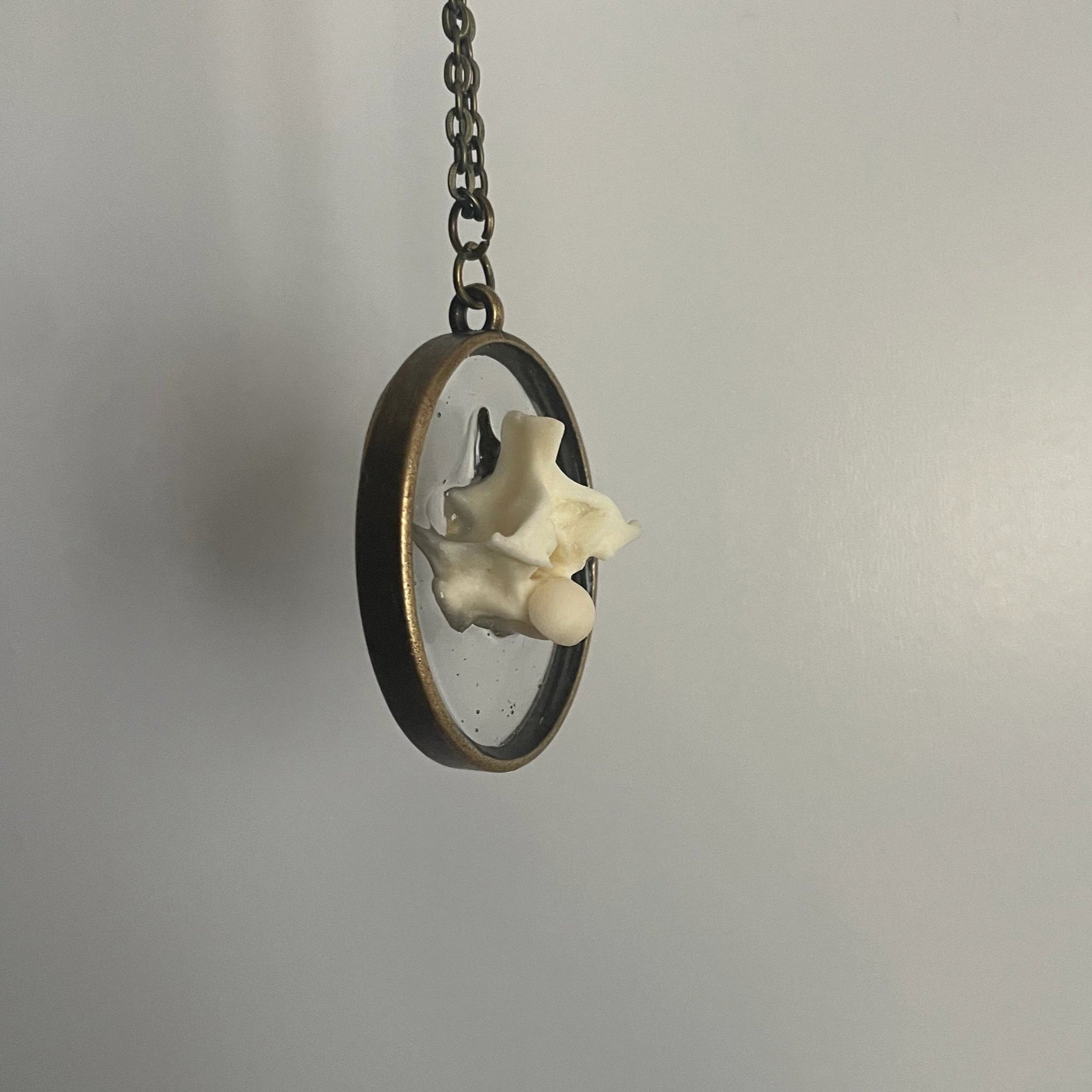 Ball Python Snake Vertebrae Bone Necklace