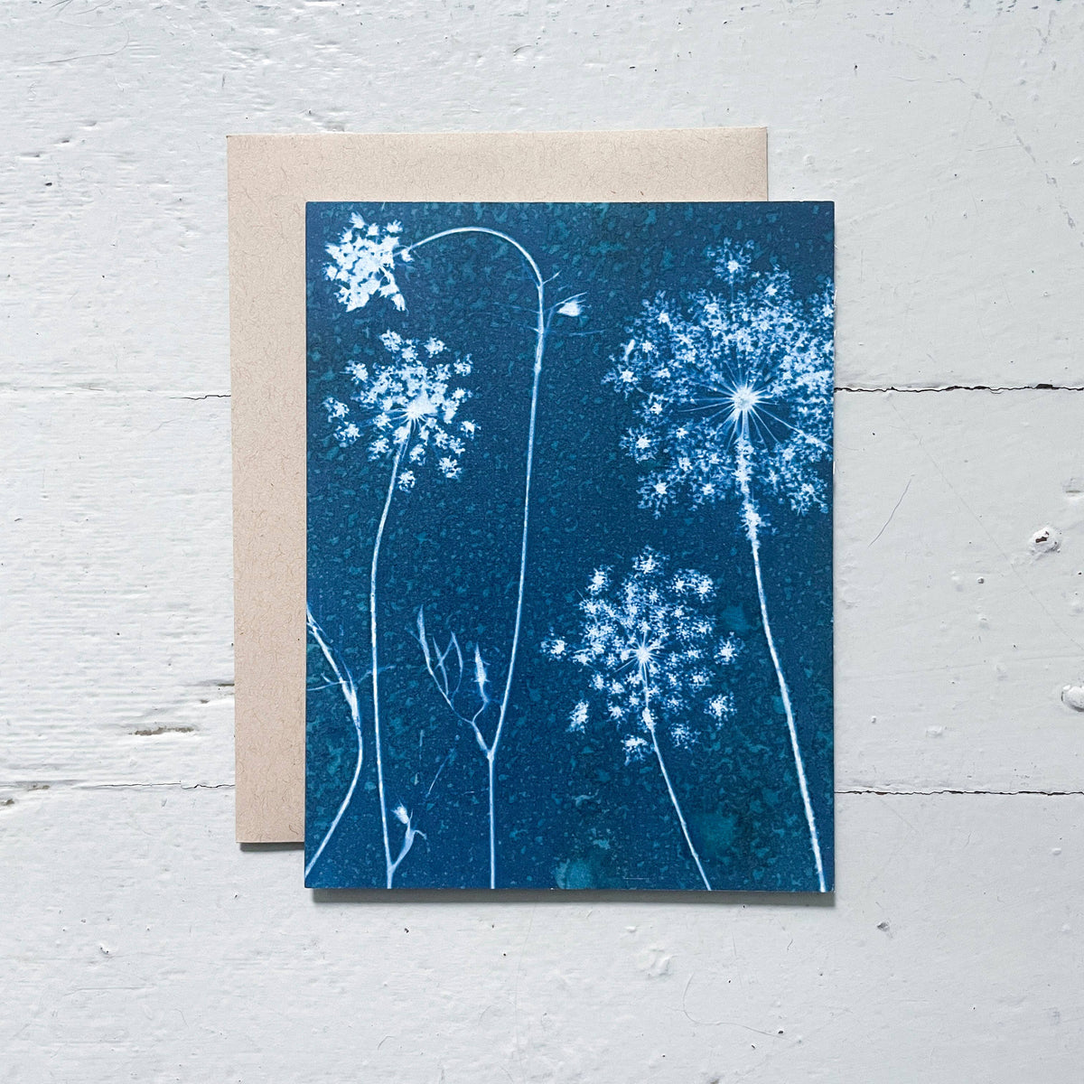 Slow Mornings - Botanical Cyanotype Cards Boxed Set