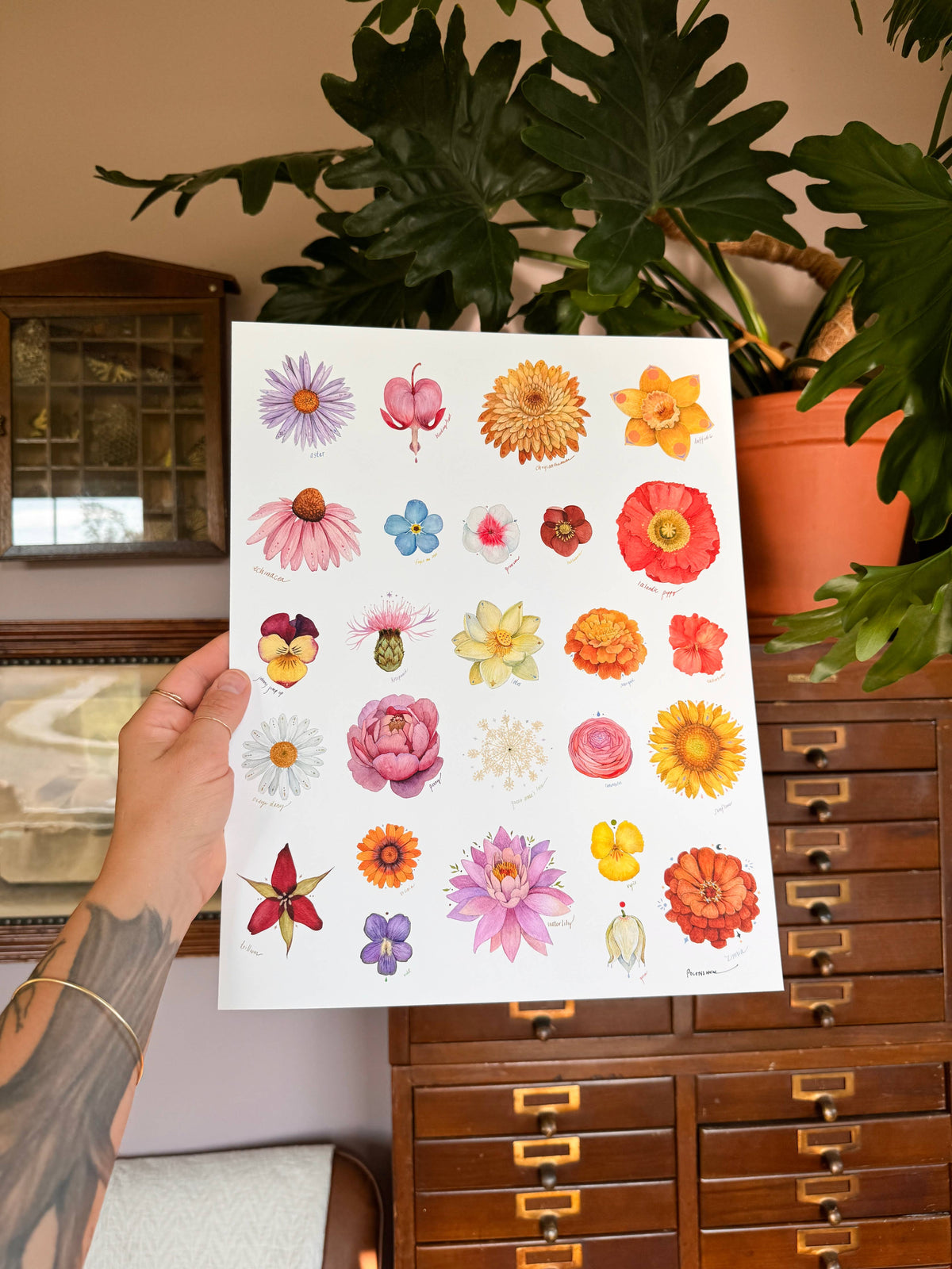 Blooming Alphabet Print - 11" x 14"