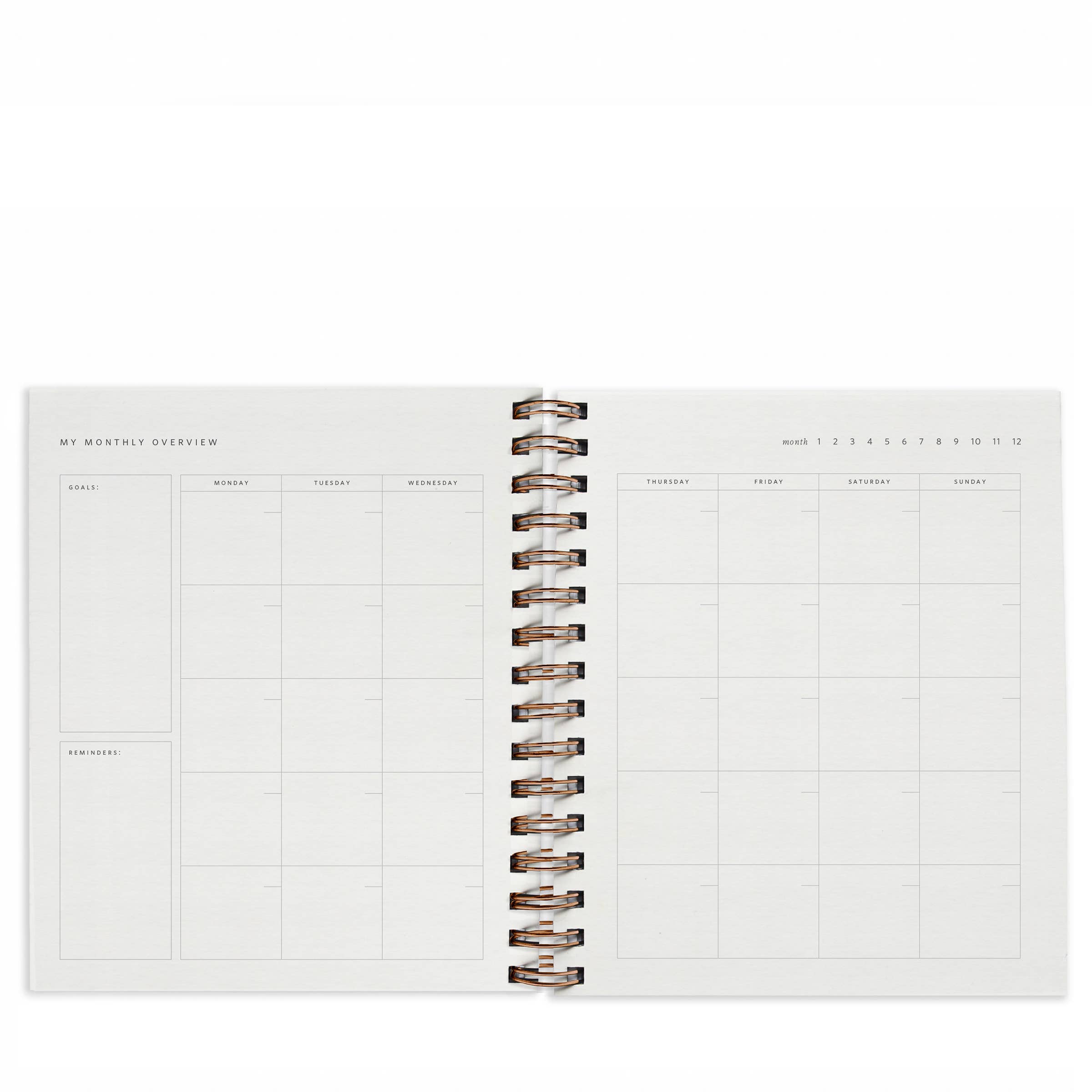 Quarterly Overview Undated Planner - 2 Colors