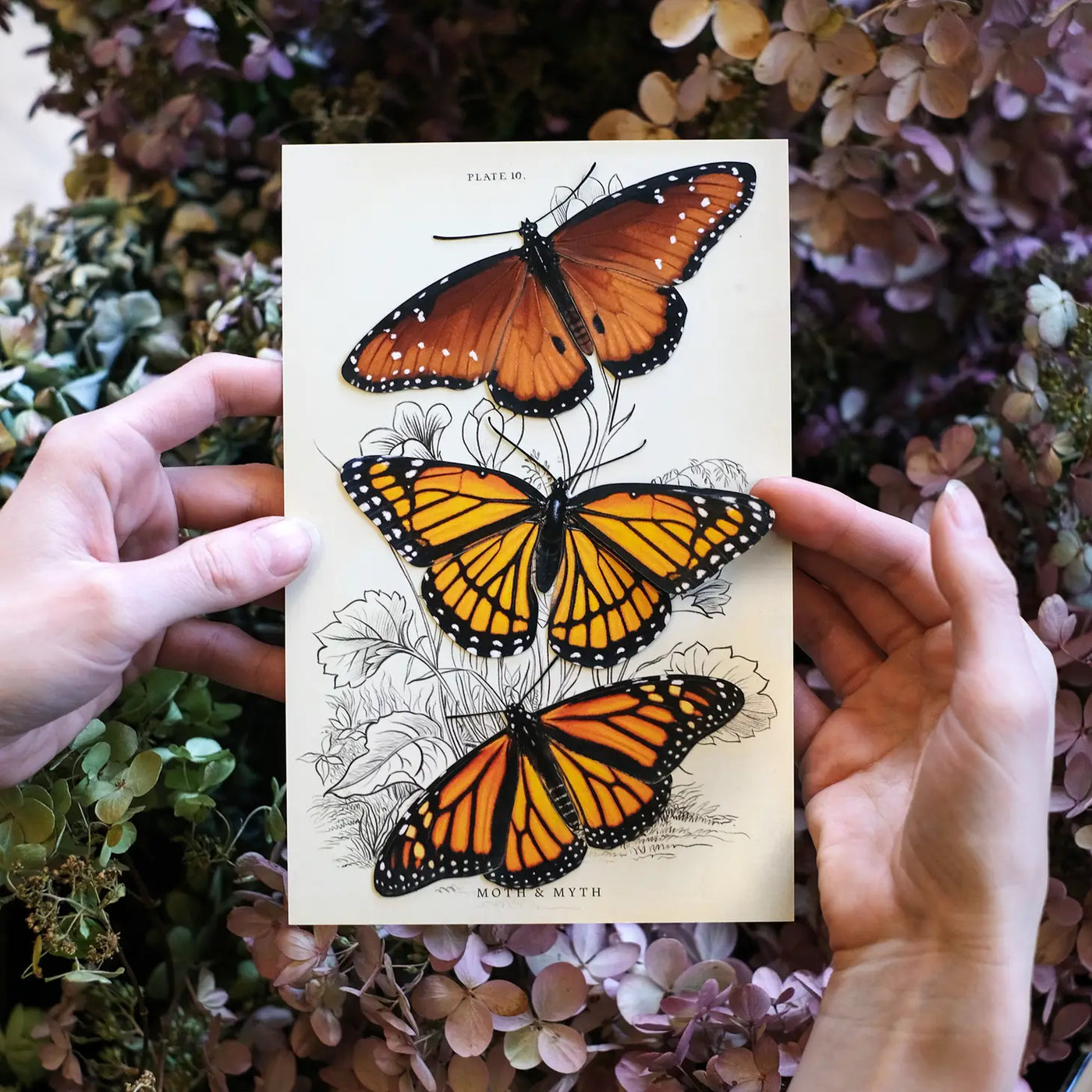 Pollinator Paper Butterfly set