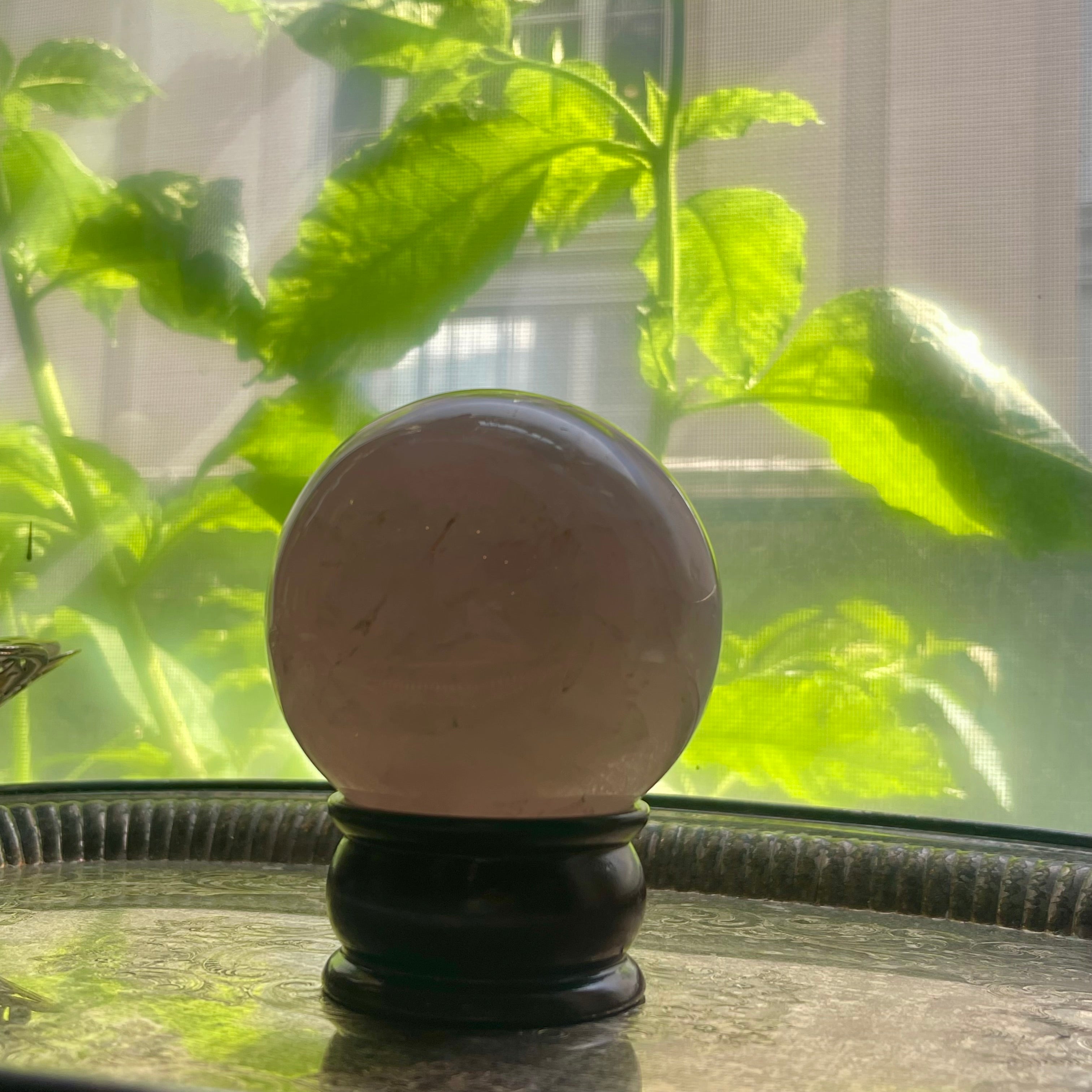 Jumbo Rose Quartz Crystal Sphere - Aphrodite's Pearl