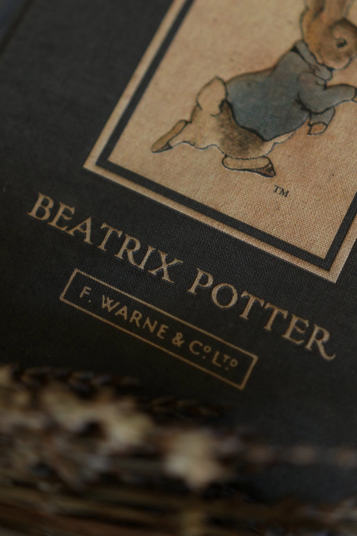 The Tale Of Peter Rabbit Journal