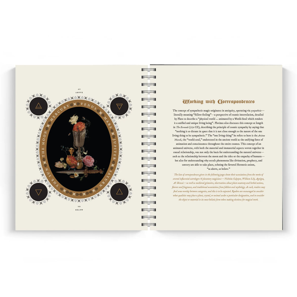 The Witch's Yearly Planner - 2027 PREORDER