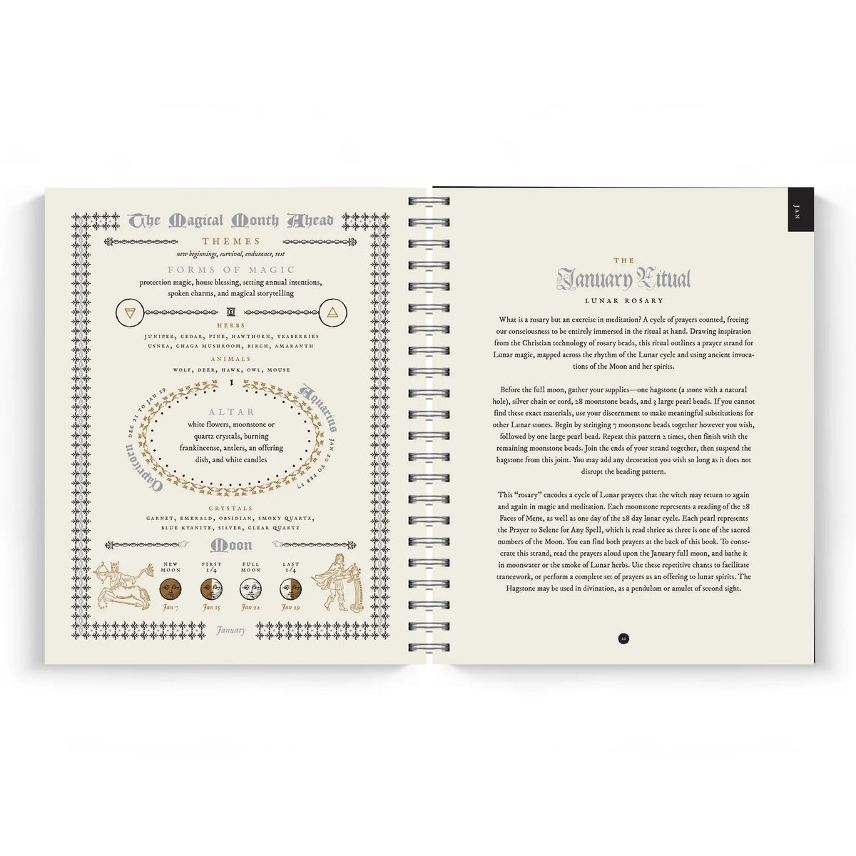 The Witch's Yearly Planner - 2027 PREORDER