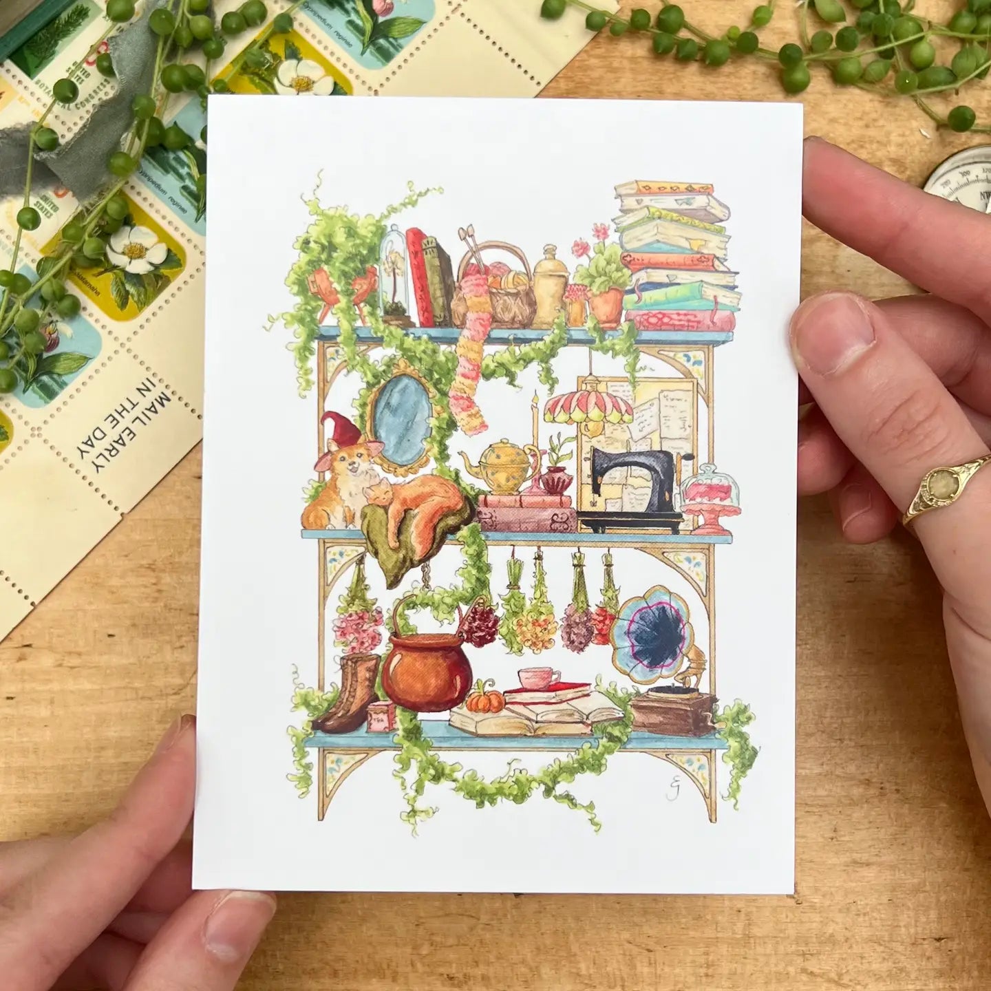 Shelves of Whimsical Occupations Postcards - 24 Options