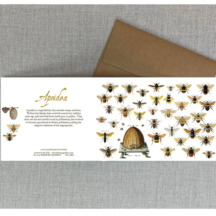 Bees History Card