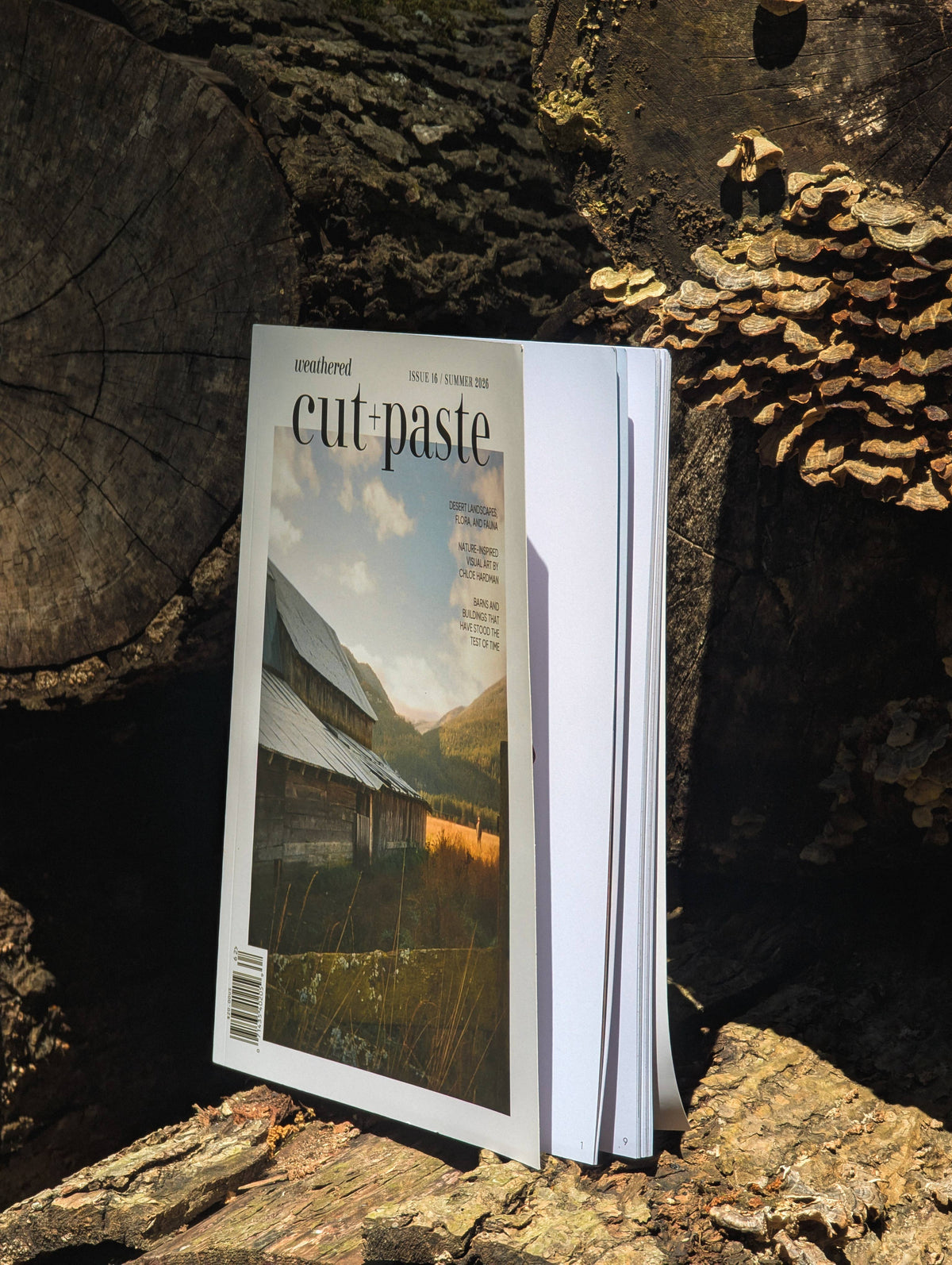 Scrapbooker's Cut + Paste Magazine - Issue 16 Weathered