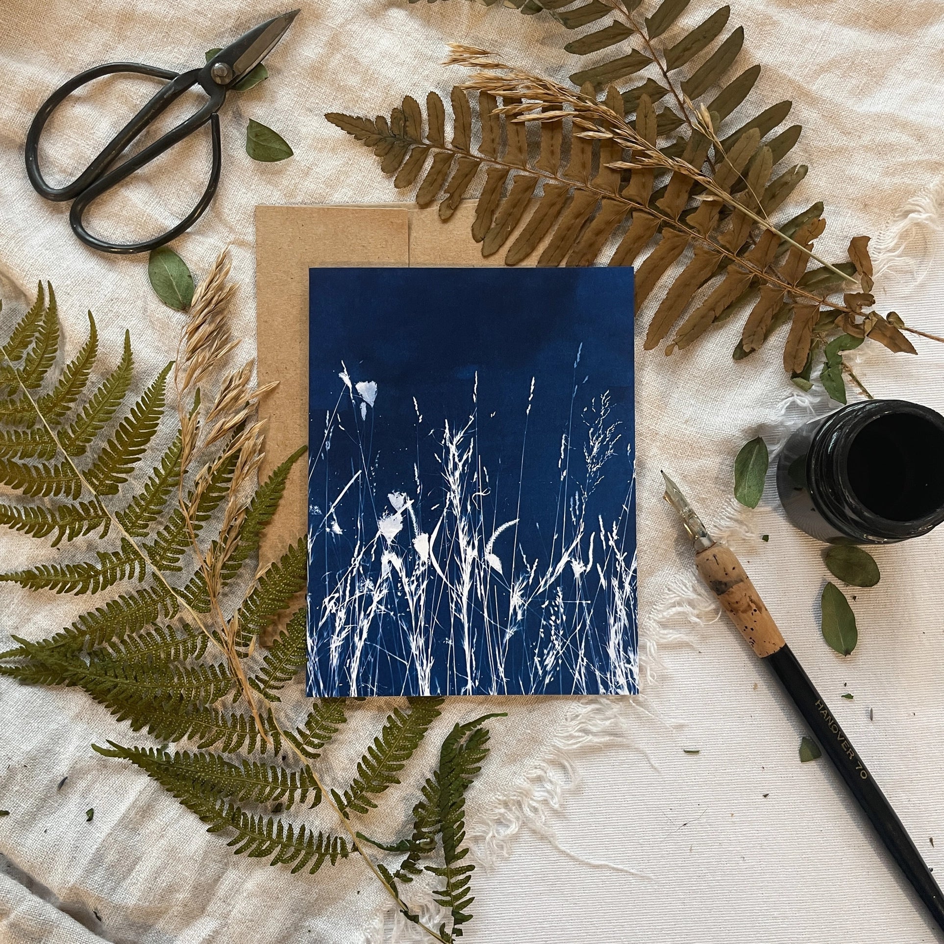 Field Studies - Botanical Cyanotype Cards Boxed Set