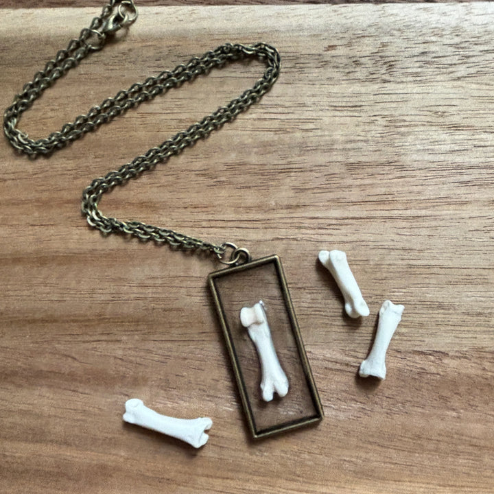 Raccoon Toe Bone Necklace