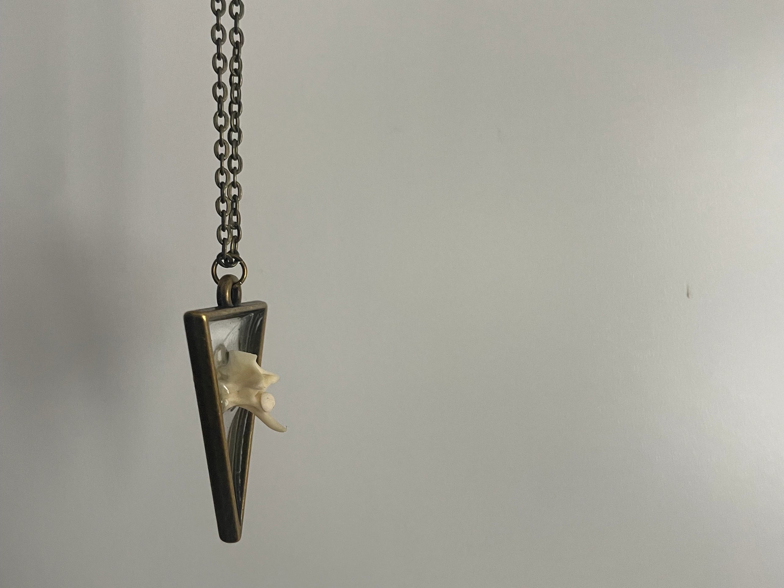 Pygmy Rattlesnake Vertebrae Necklace