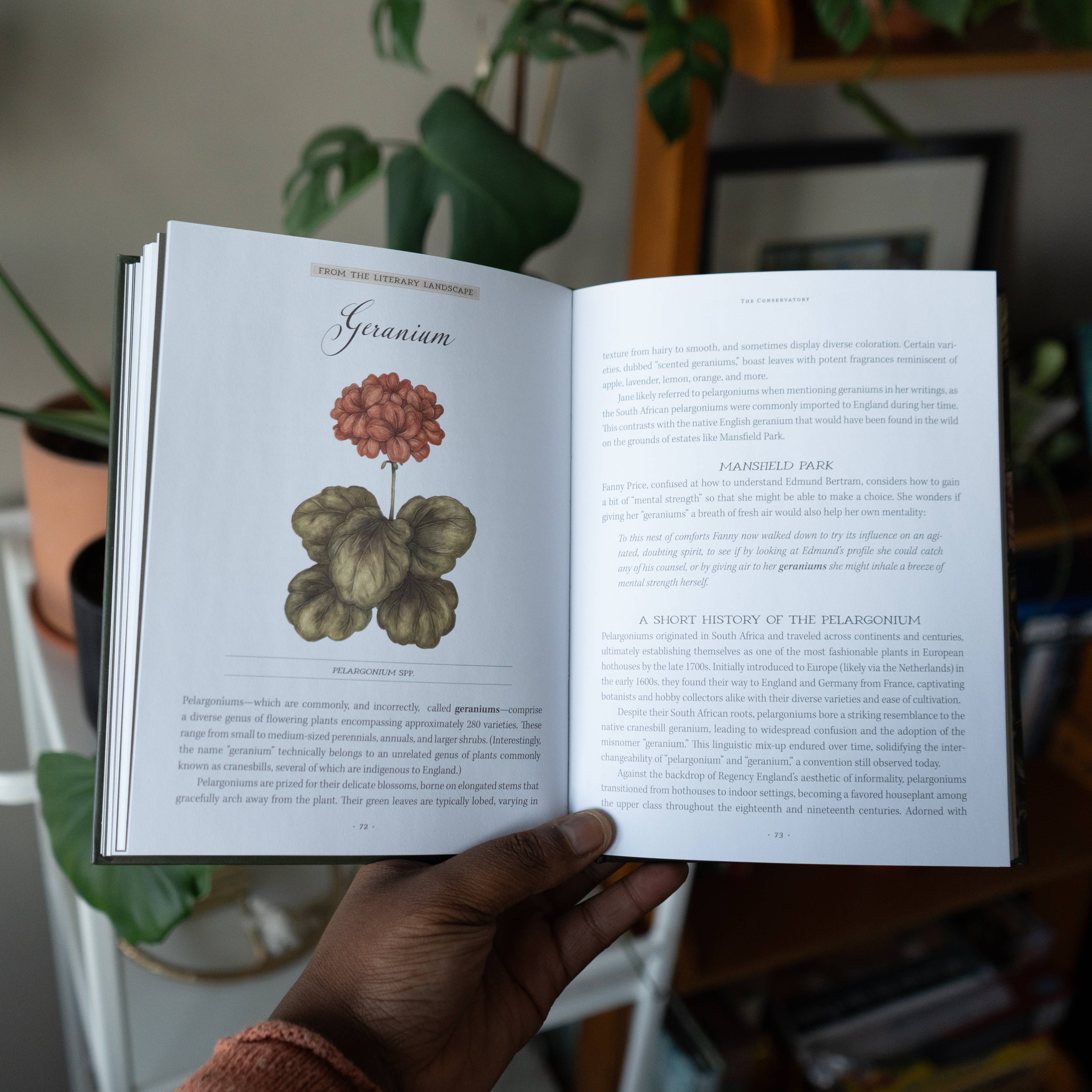 Jane Austen's Garden Book