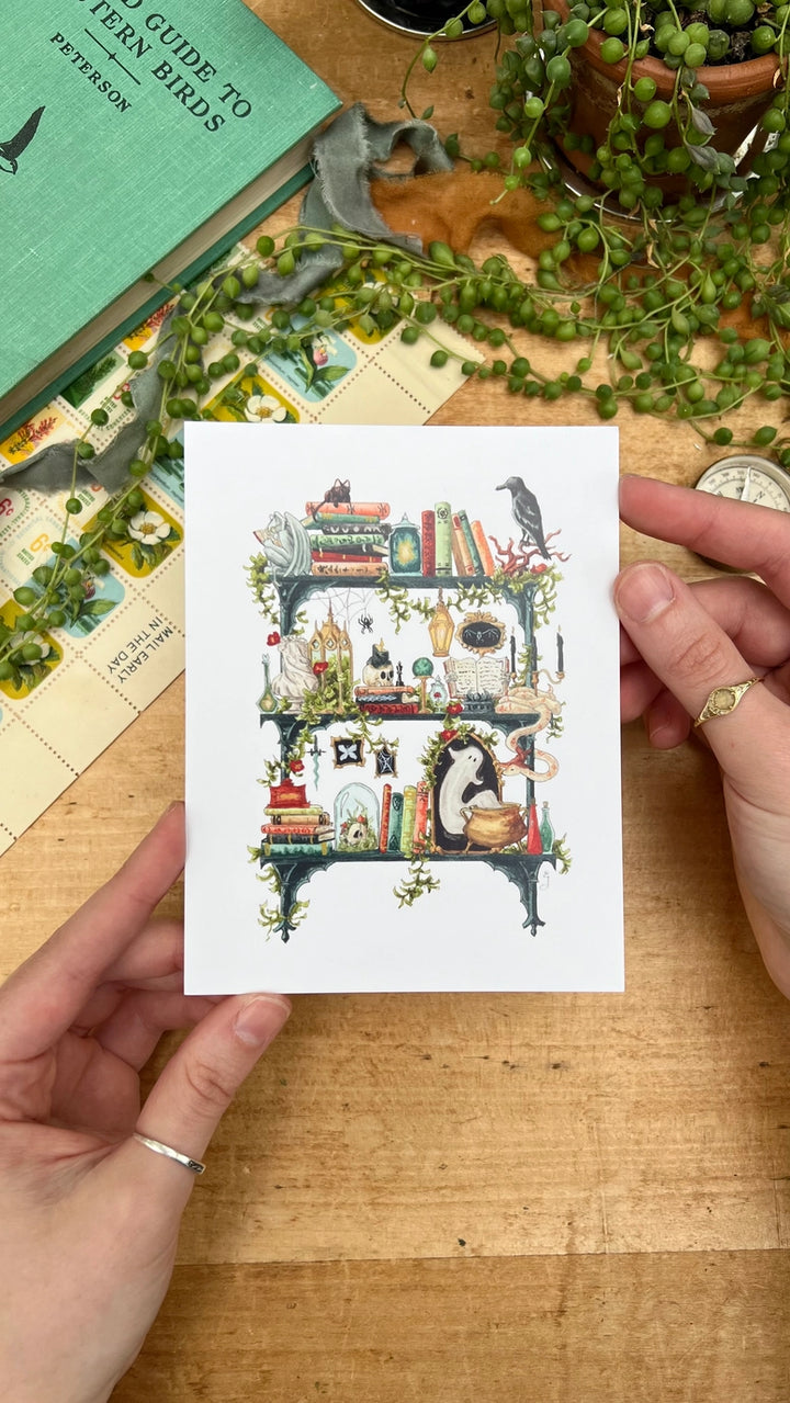 The Gothic Witch's Shelves Postcard