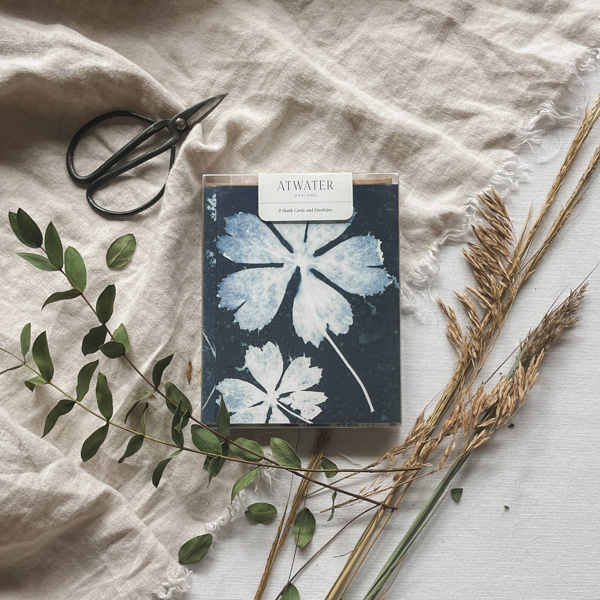 Slow Mornings - Botanical Cyanotype Cards Boxed Set