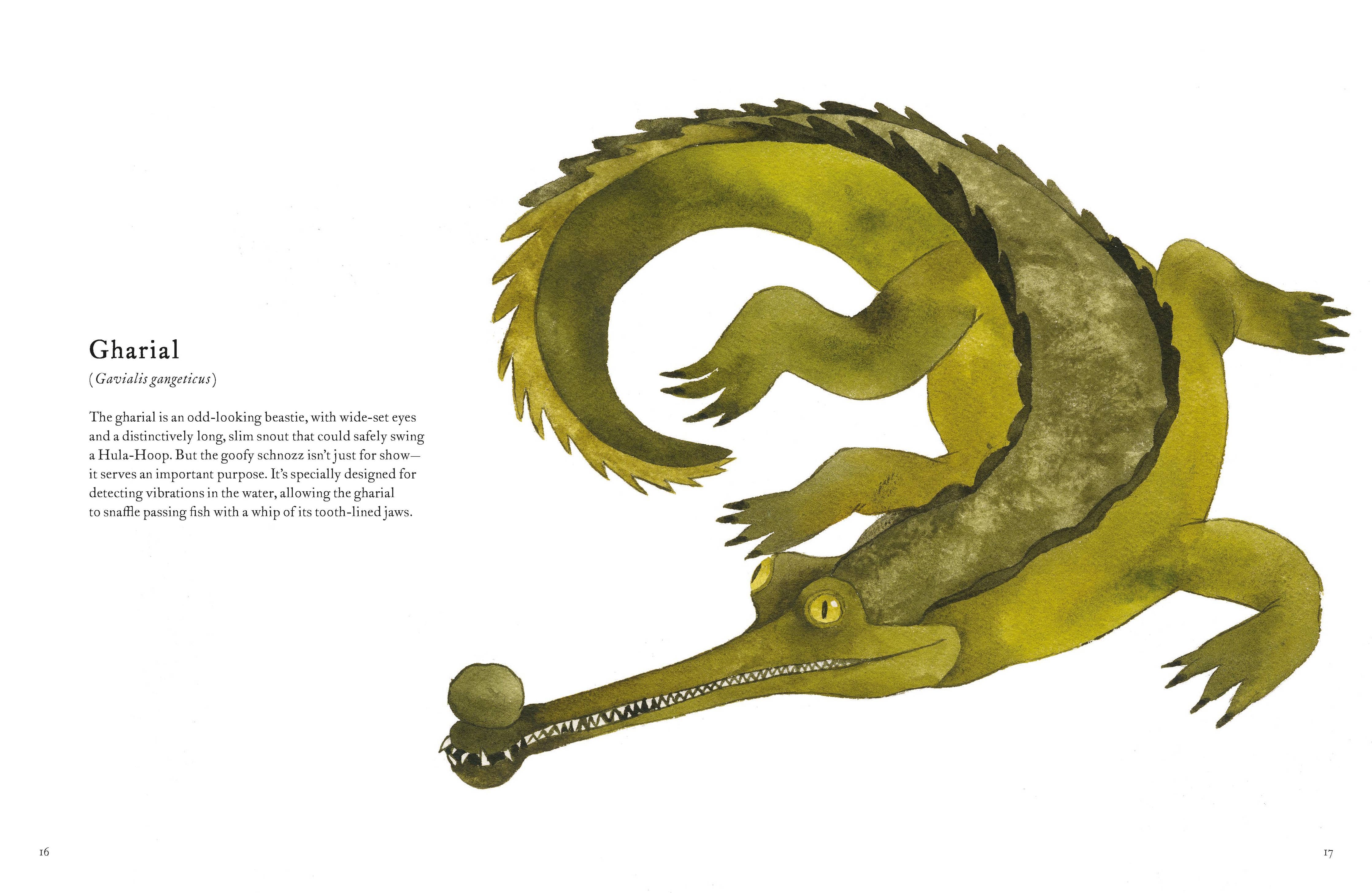 Colorful World of Reptiles Book